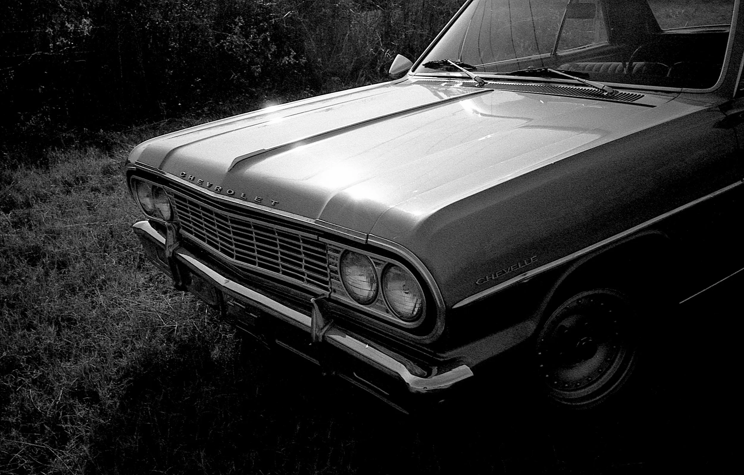 Malibu SS / Matt Pittman / Ilford HP5 / Leica M7 / North Alabama