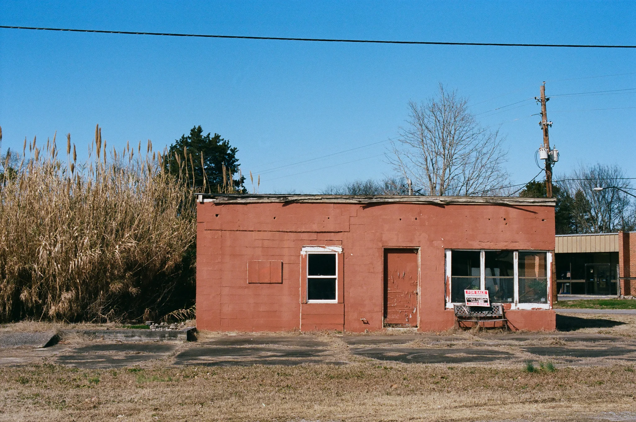 Kent Meister / Leica M6 / Kodak Portra 400