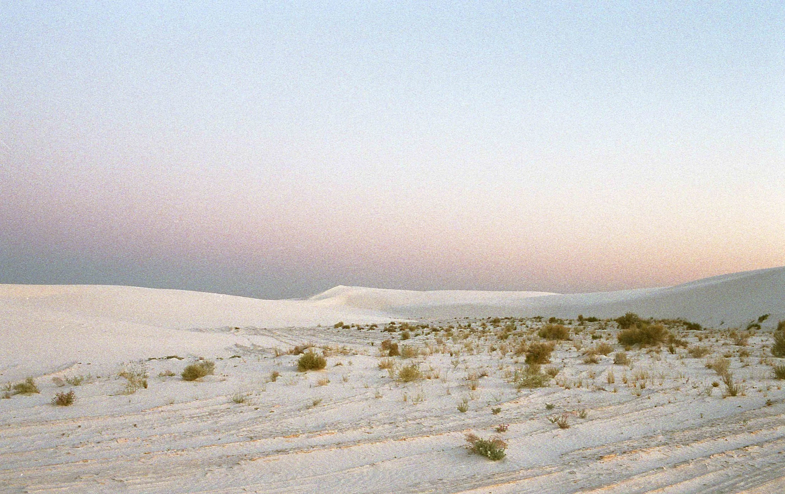 Desert018.jpeg