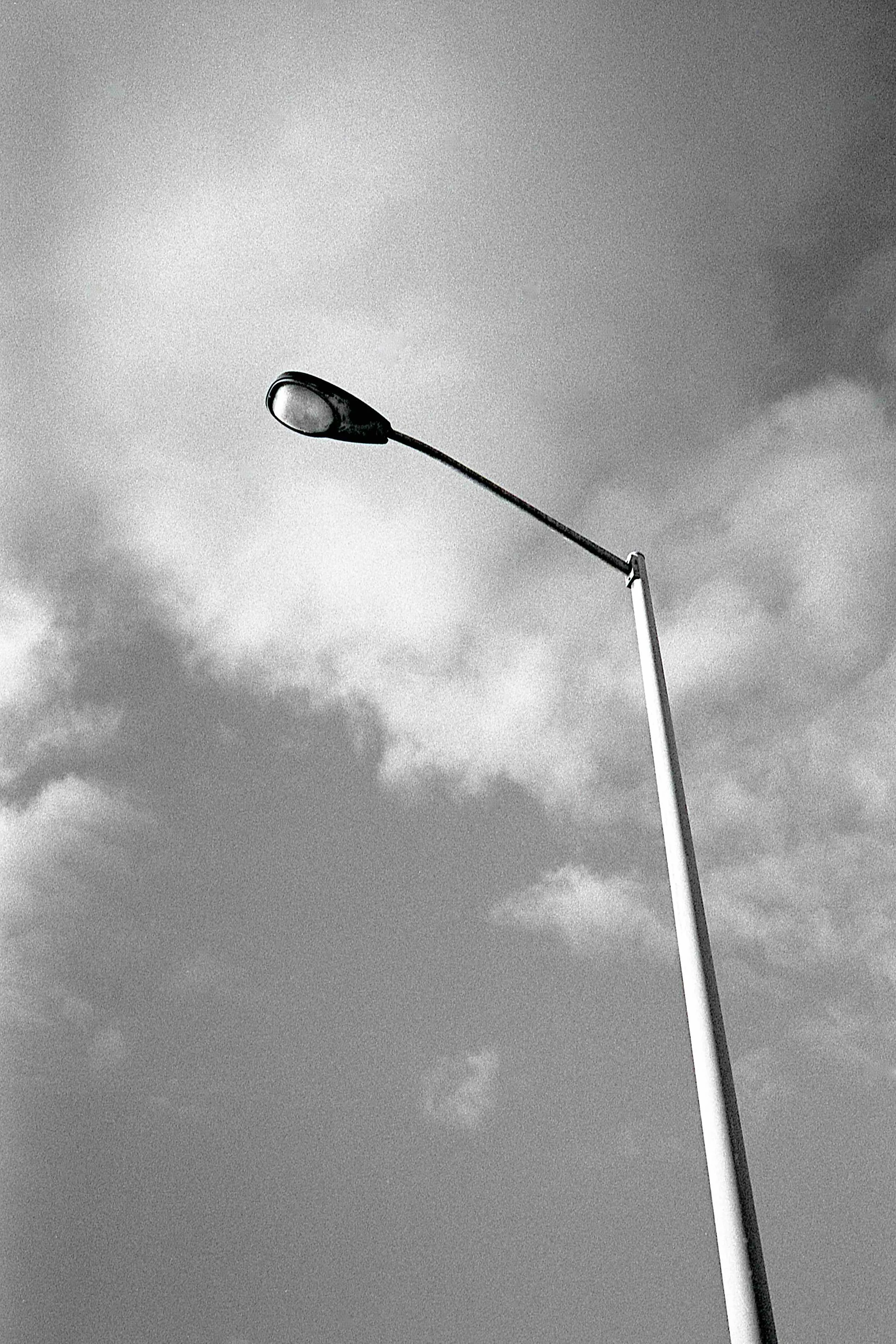 EPSON scanner image