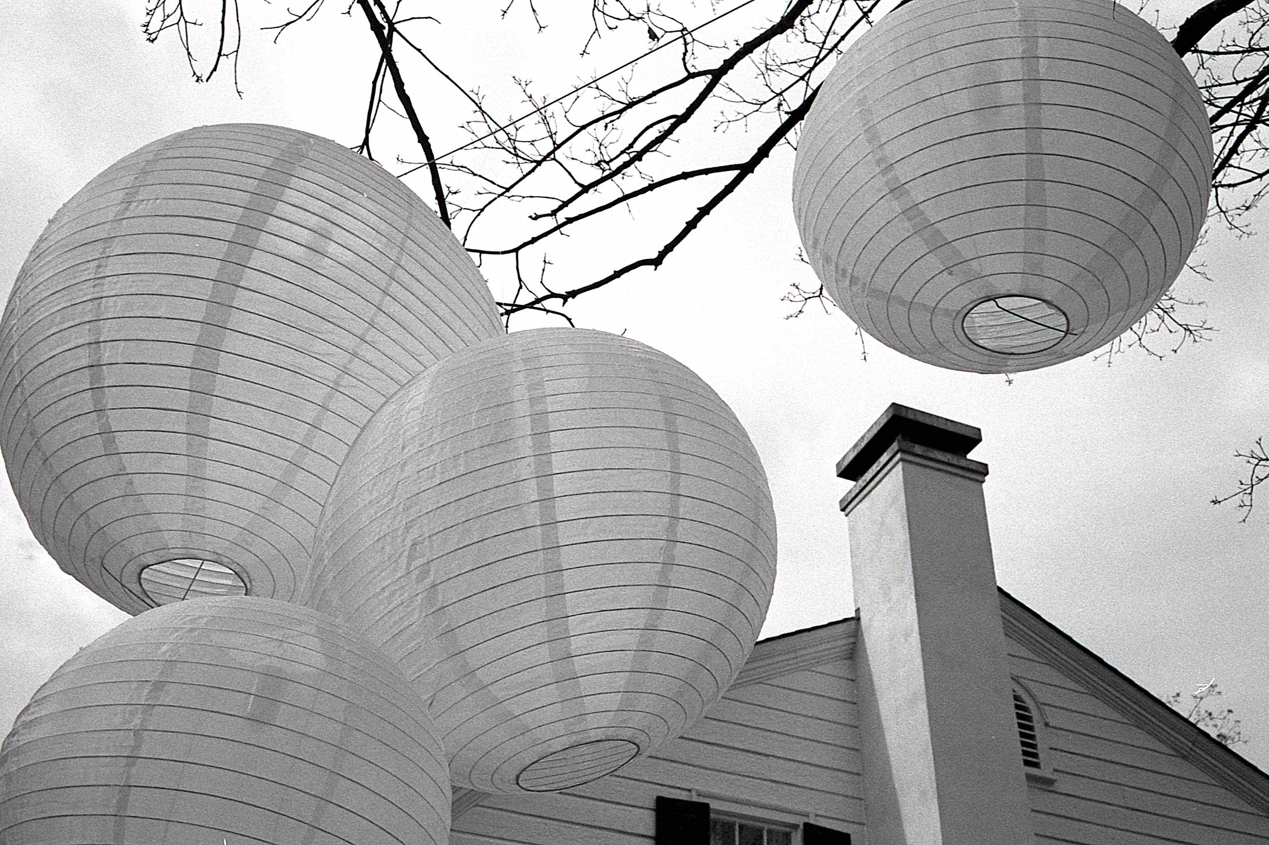 EPSON scanner image