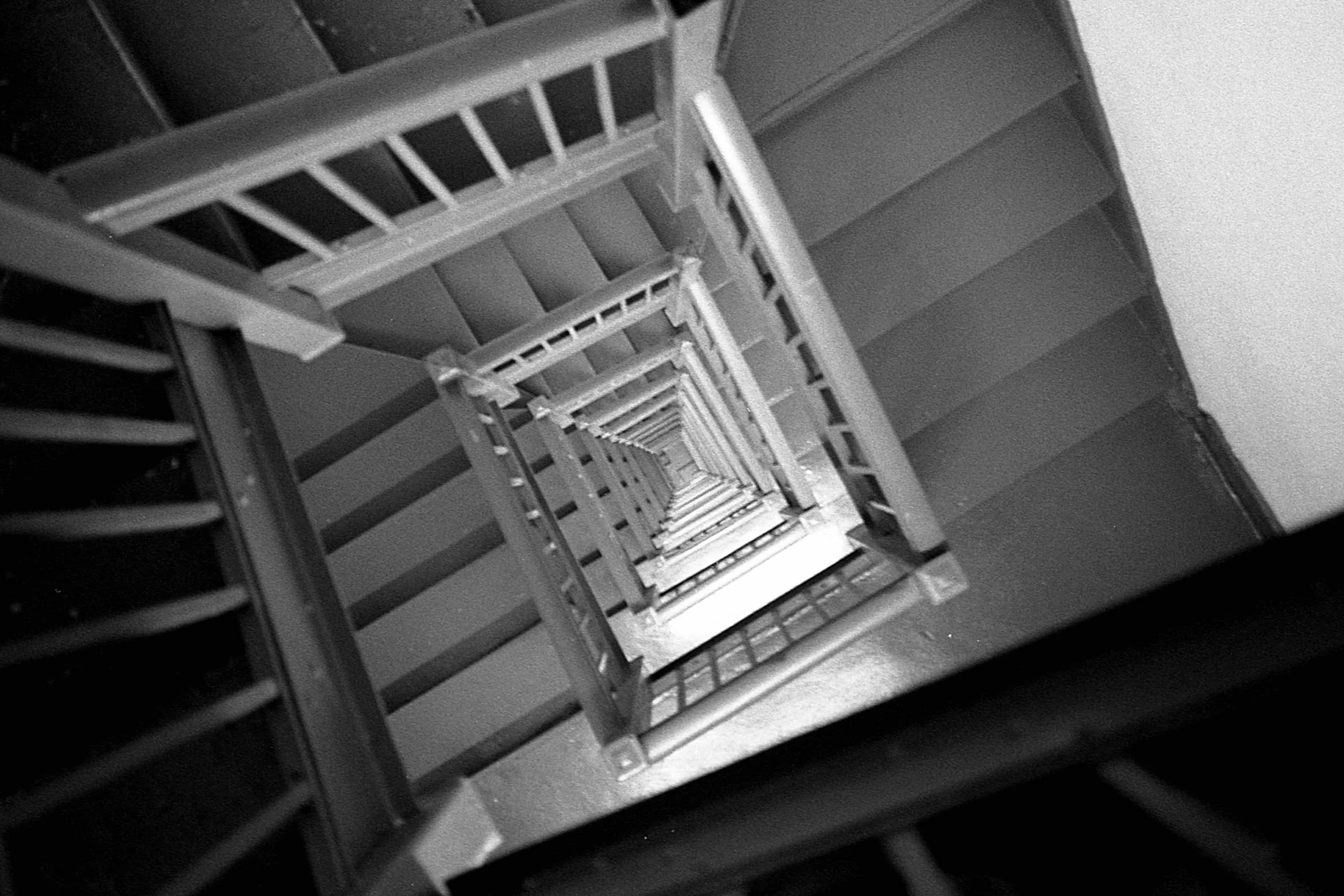 EPSON scanner image