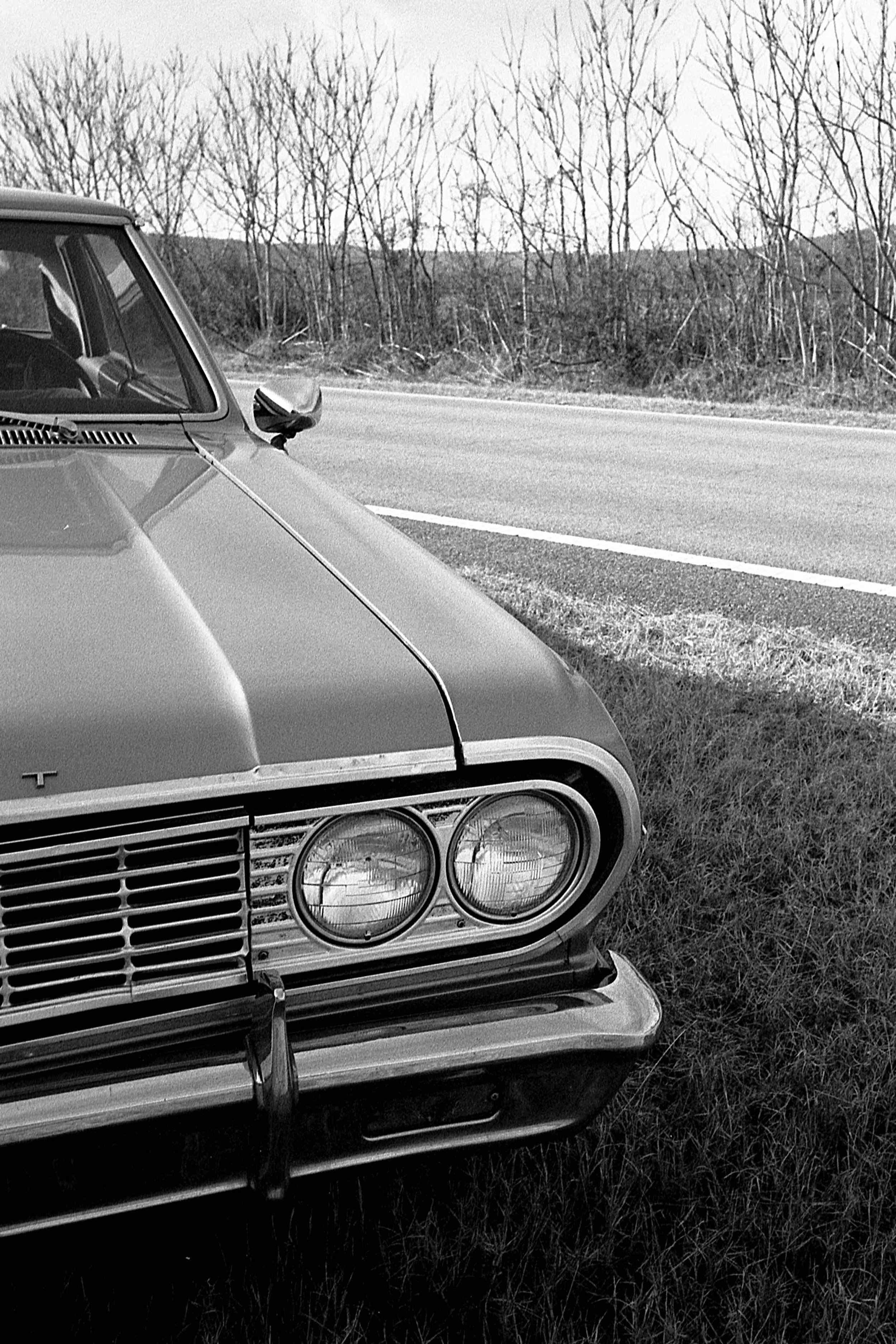 EPSON scanner image