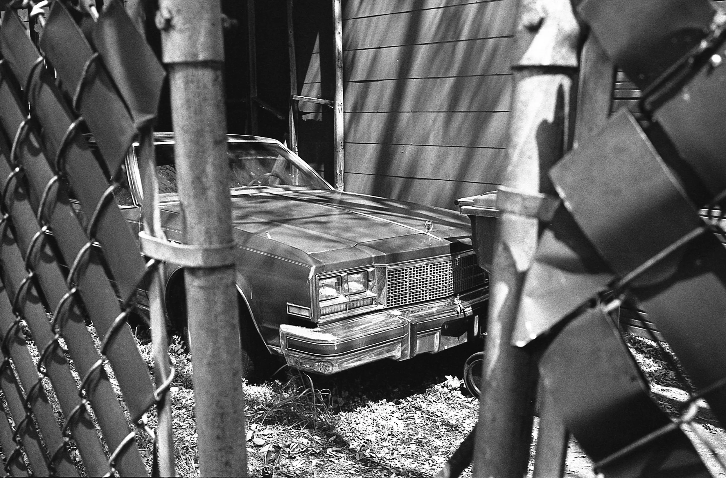 TMax400009.jpeg