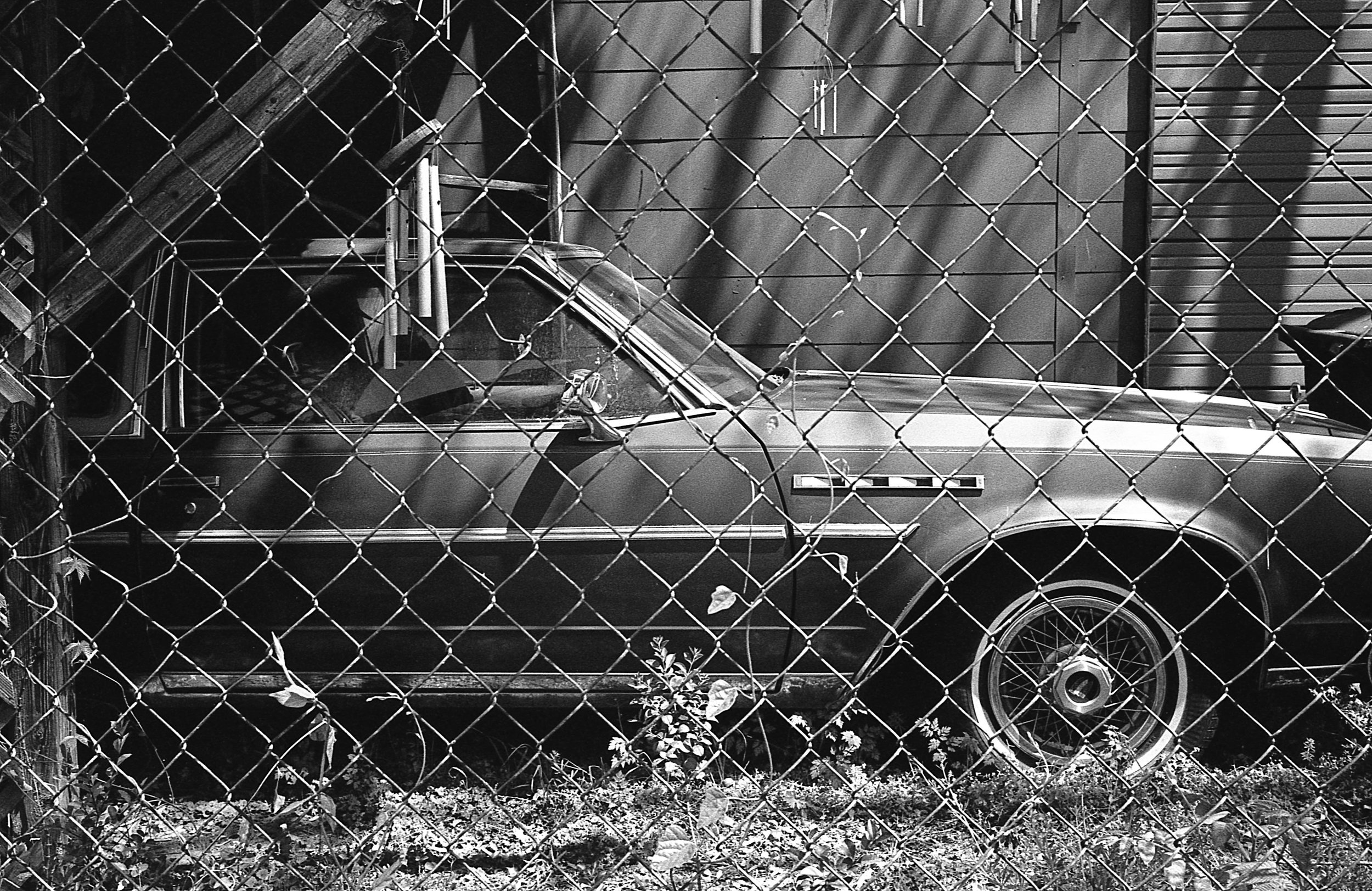 TMax400017.jpeg