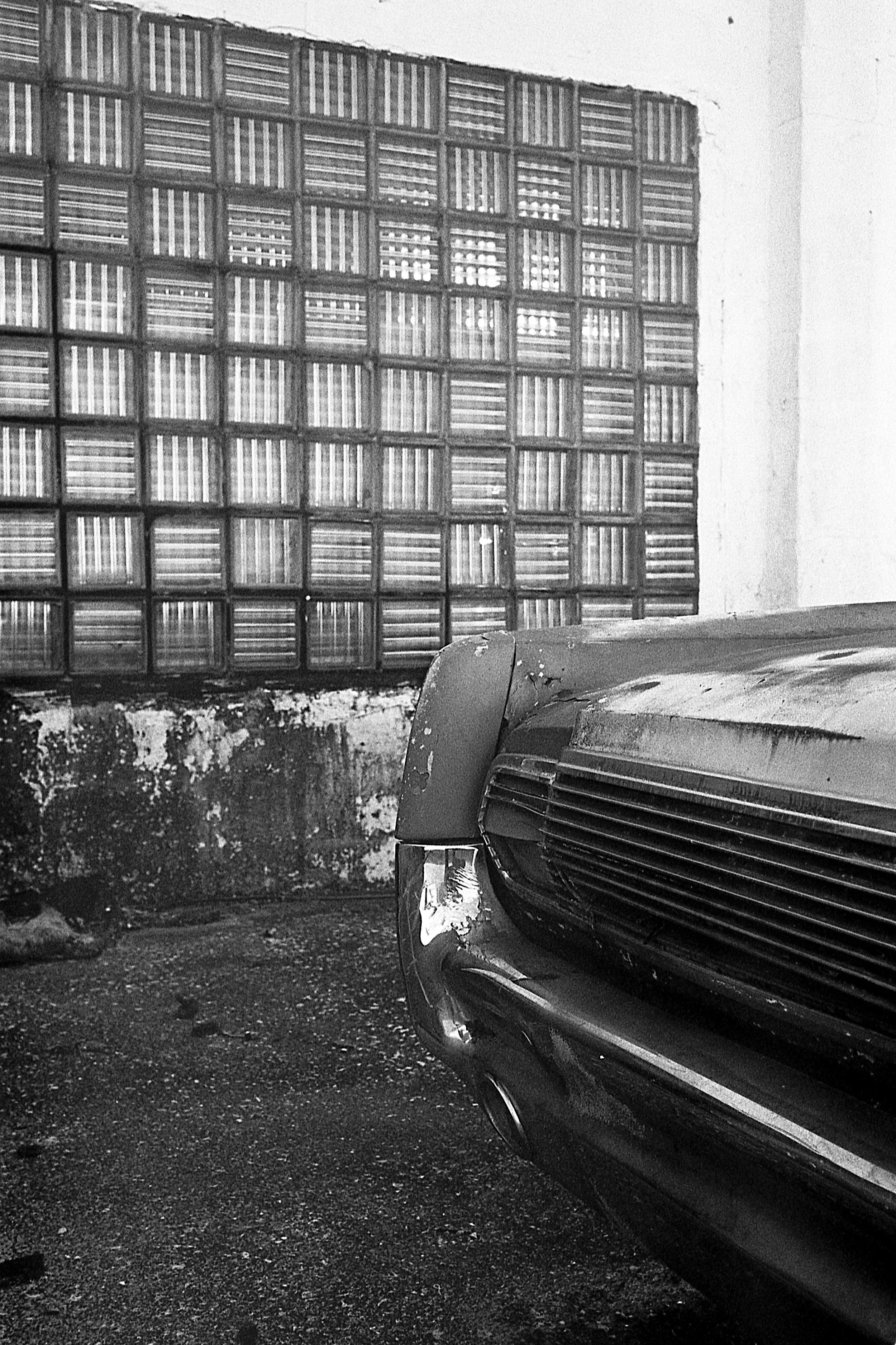 EPSON scanner image