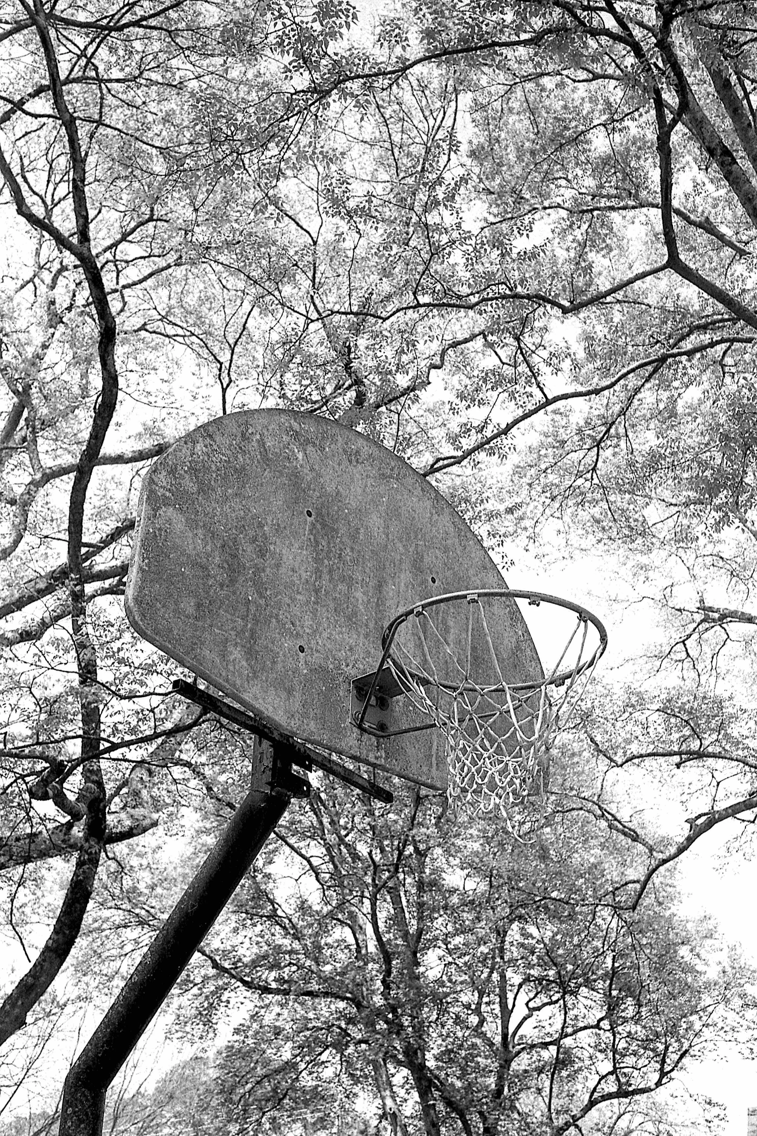 Matt Pittman / Leica M7 / Ilford HP5 / Huntsville, AL