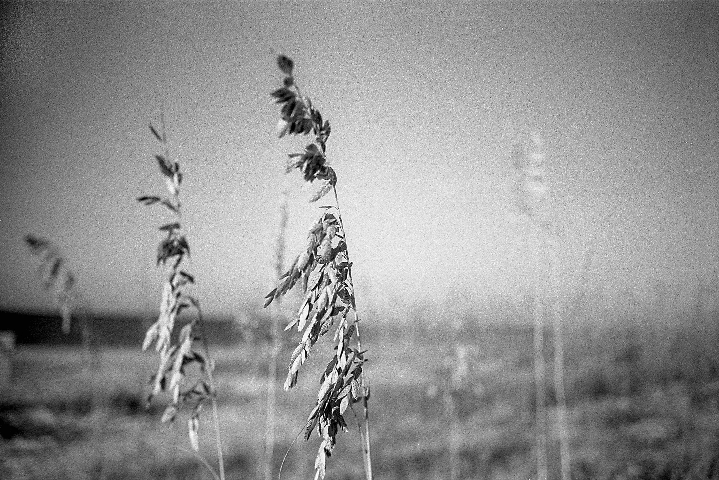 Matt Pittman / Fort Morgan, Alabama / Tiffen Filter Red #25 / Ilford HP5 / Leica M7