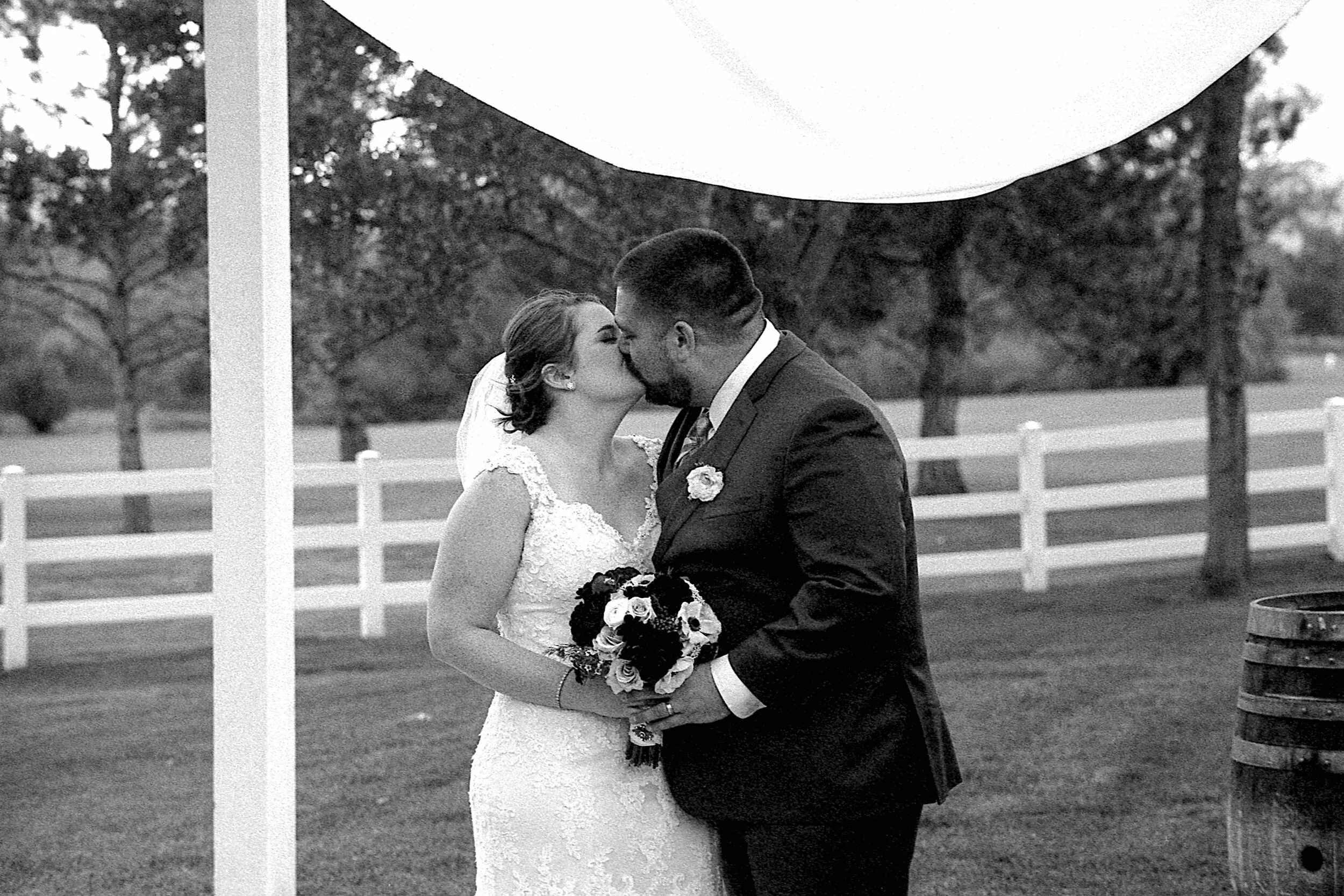 EPSON scanner image