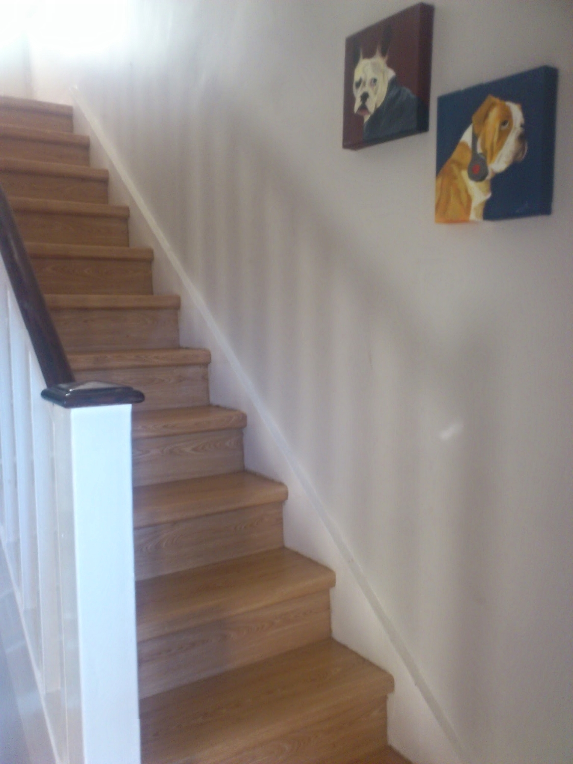 Copy of Quick-Step stair treads and risers Dublin Ireland