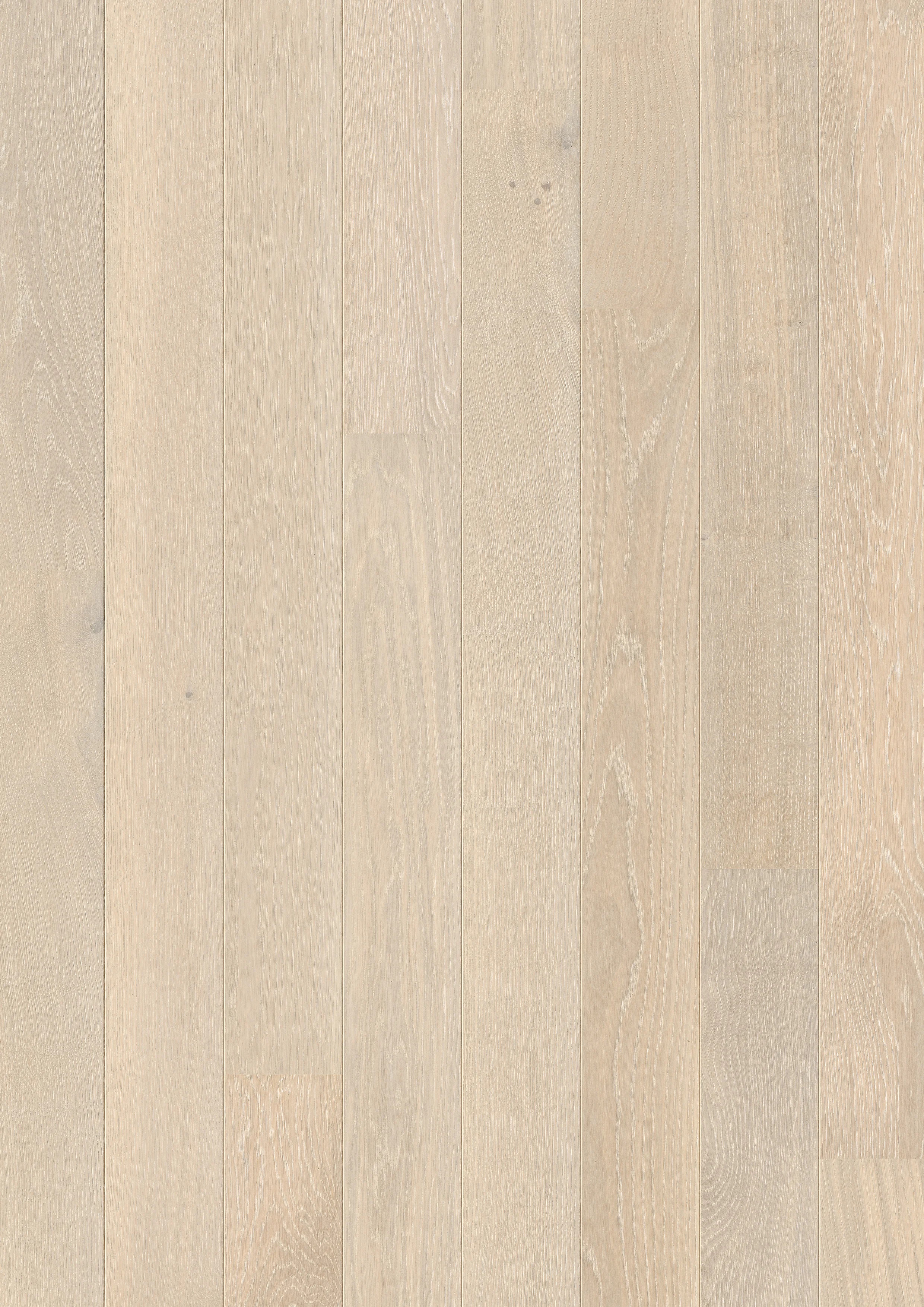  SNOW WHITE OAK EXTRA MATT CAS3884S