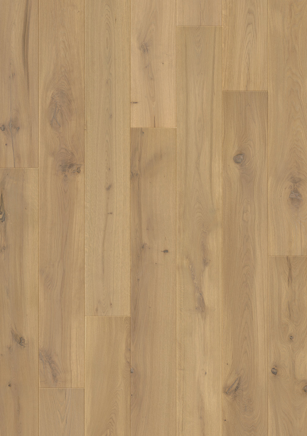 Step Palazzo Long And Wide Oak Planks, Bargain Hardwood Floors