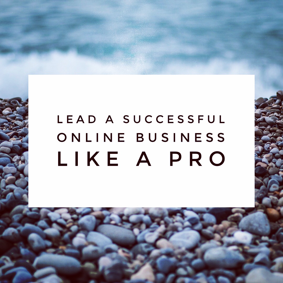 Lead a Successful Online Business Like a Pro