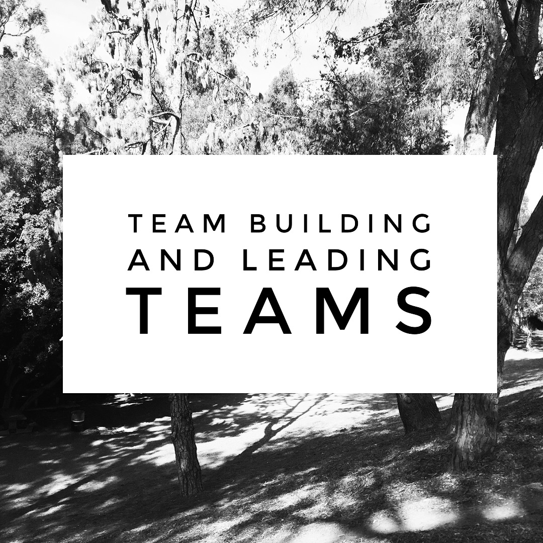Team Building and Leading Teams