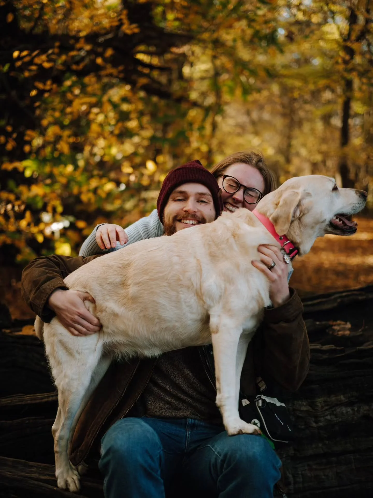 Katie , Sam and Sandy 🥰 having a lovely stroll and Sandy disregarding all the rules of personal space.