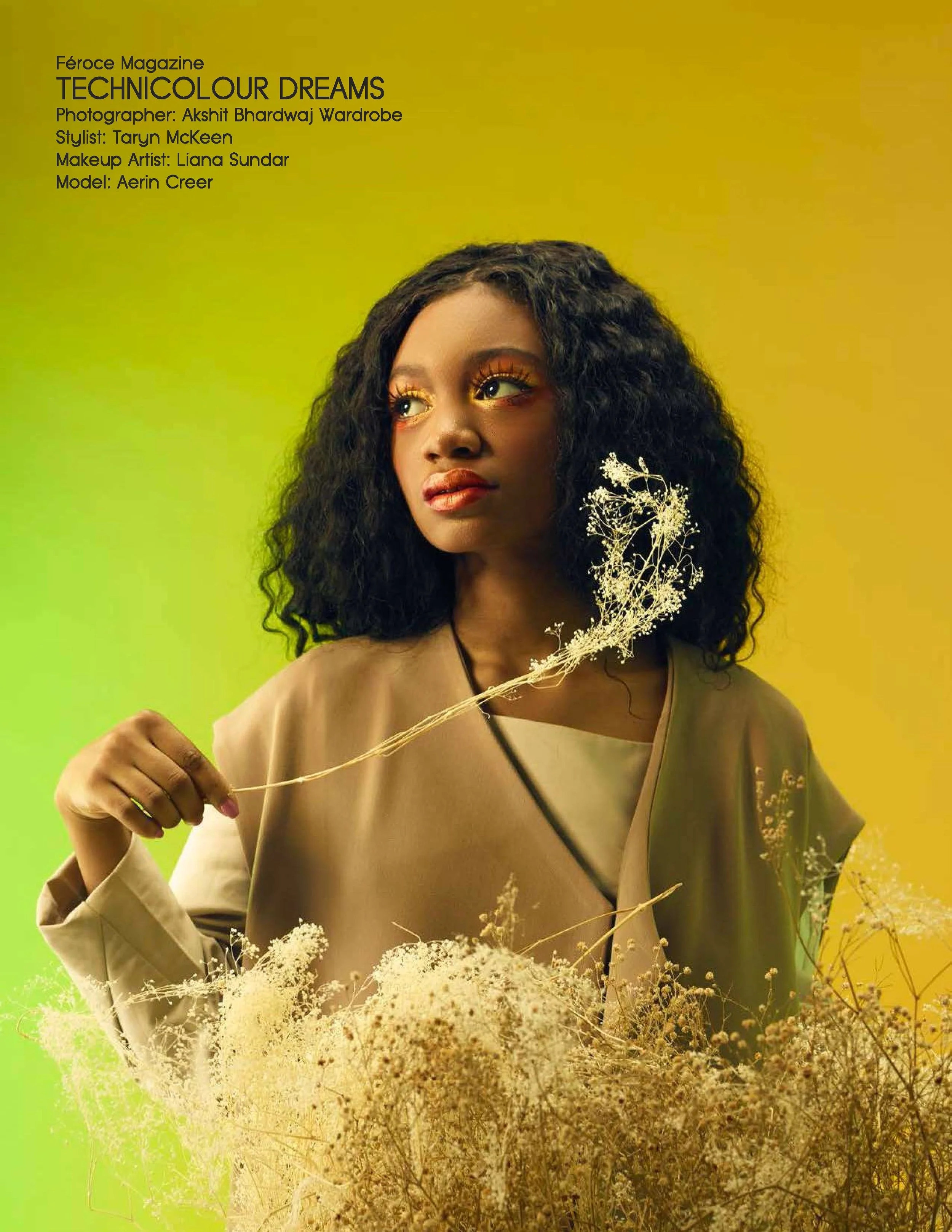 aerin-page-001.jpg