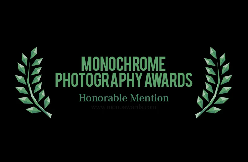 hm_monoawards_2016.jpg