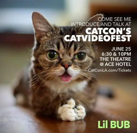 Image courtesy CatConLA.