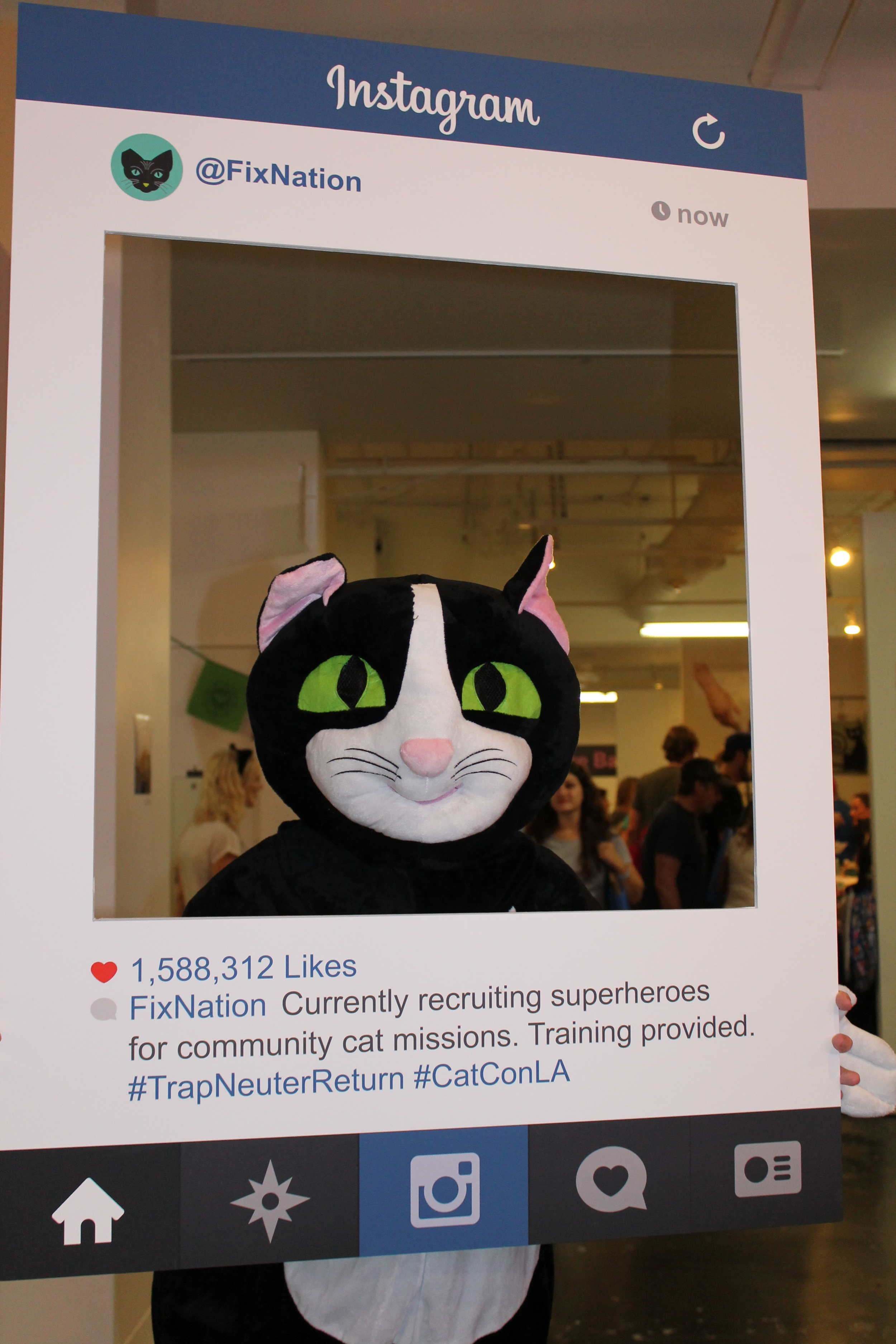 FixNation Cat, looking for LA Superheroes for cats.