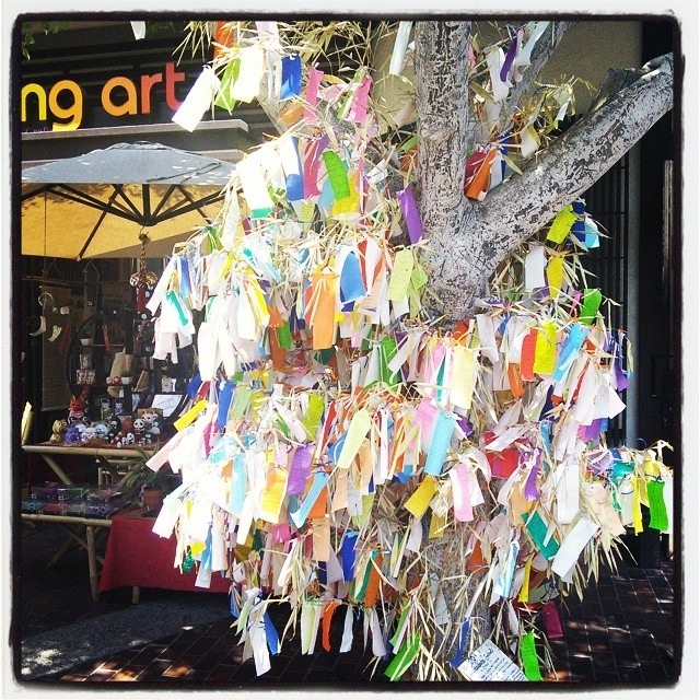 A tree bristling with wishes in the LT. (c)2014 Michelle Klein-Hass