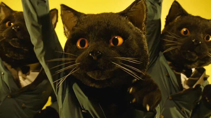 The Kitty Cat Delivery Service Turns 40 in Style!