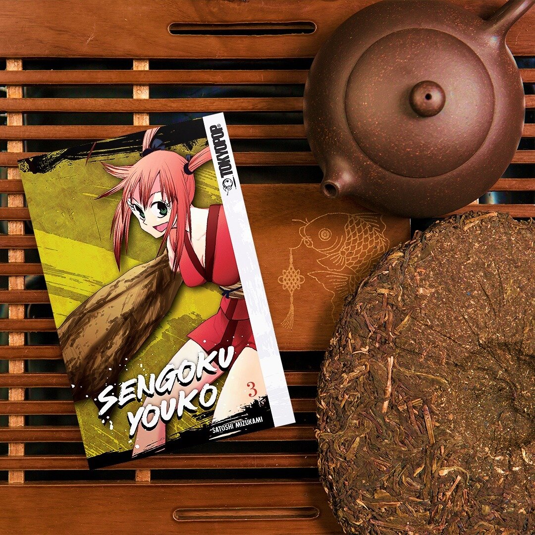 The battle for supremacy continues in Sengoku Youko Volume 3. Get it in digital or pre-order in print and see who will emerge victorious!

https://amzn.to/42BwsMW