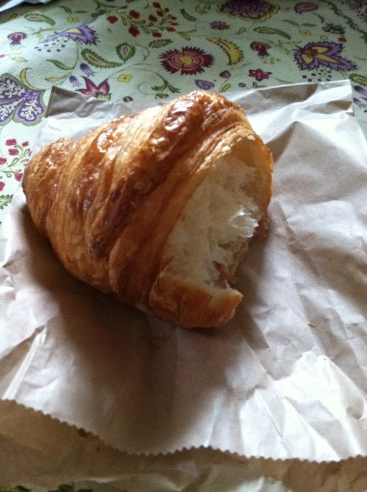 1544973_10152878163383103_4393282924156201555_n (1).jpg