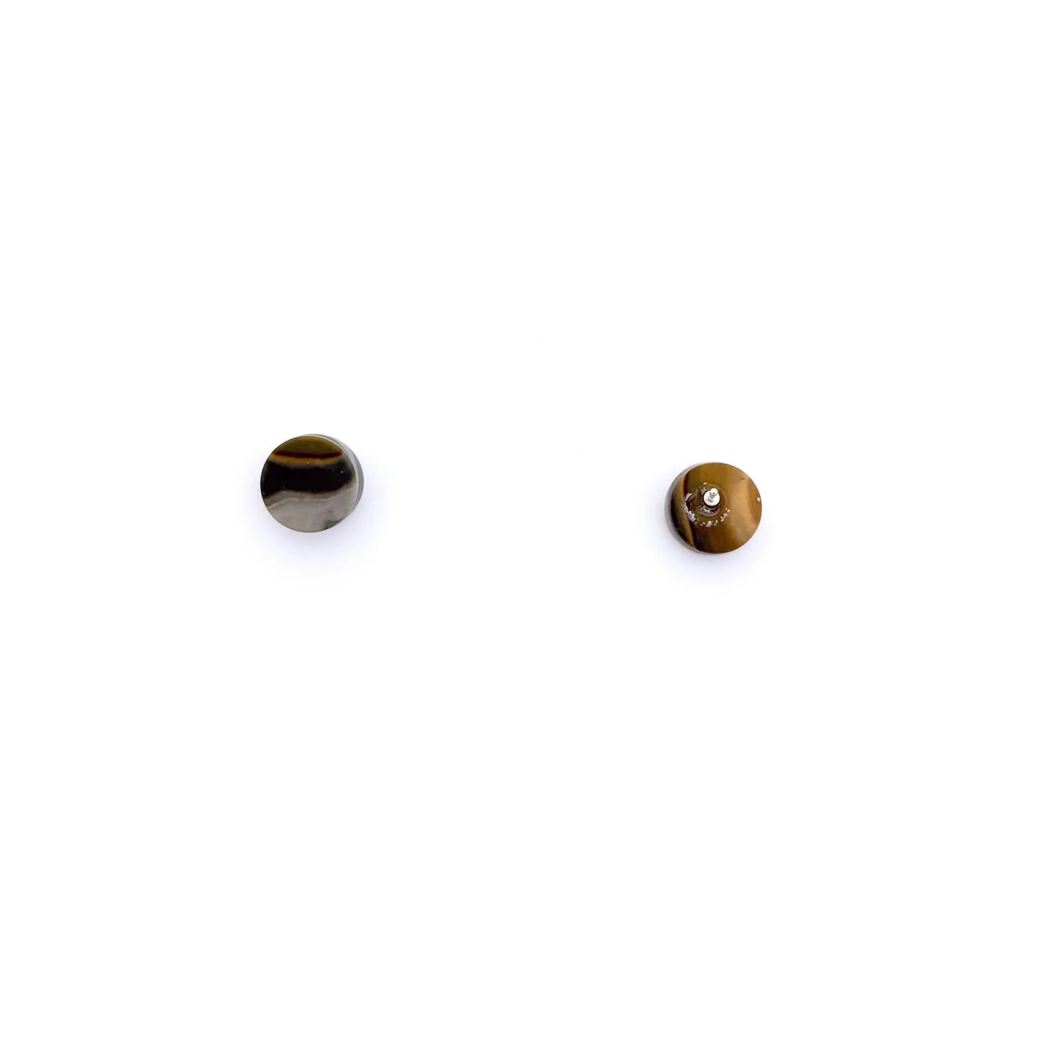 PolychromeStuds2.2.1.jpg