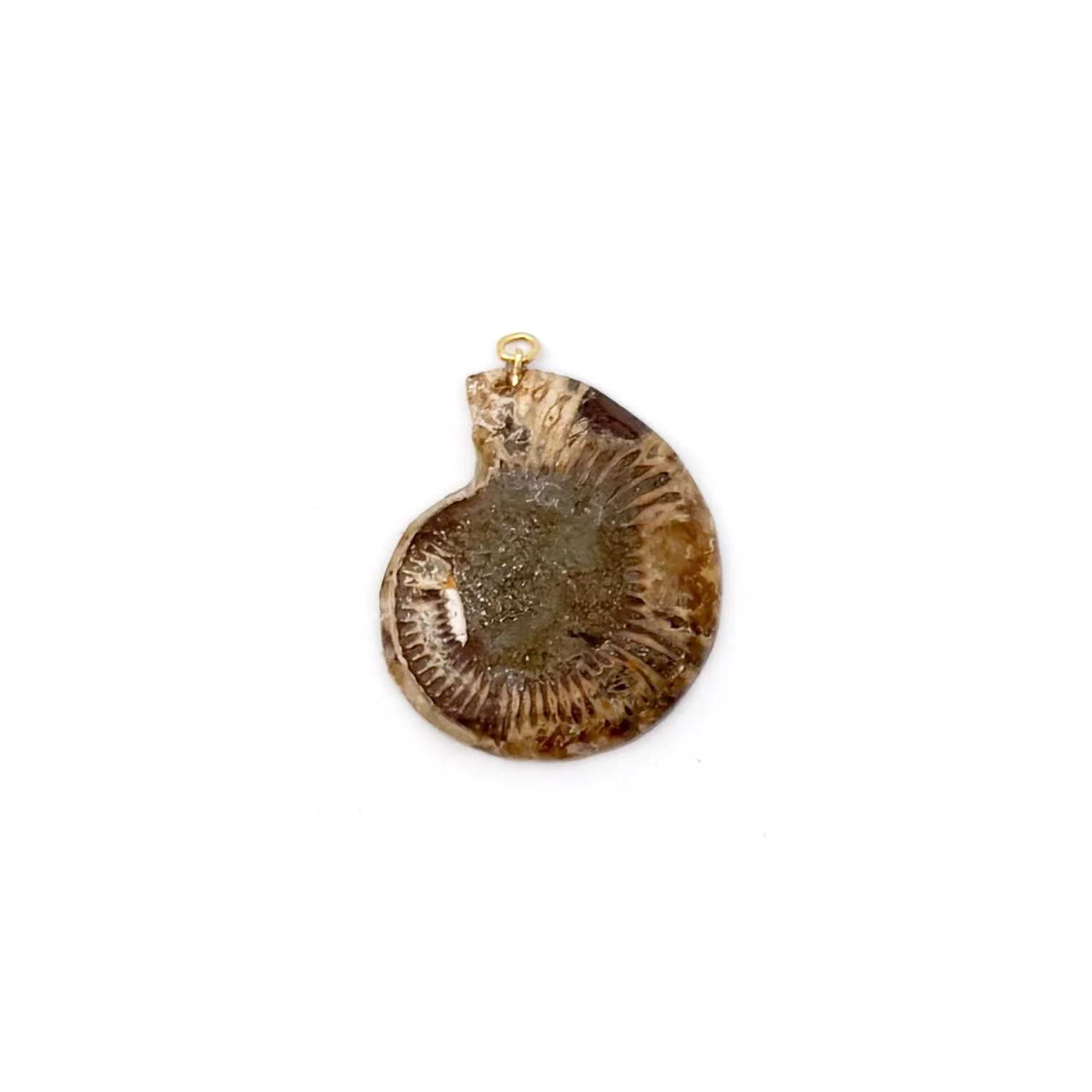 AmmoniteCharm1.2.jpg