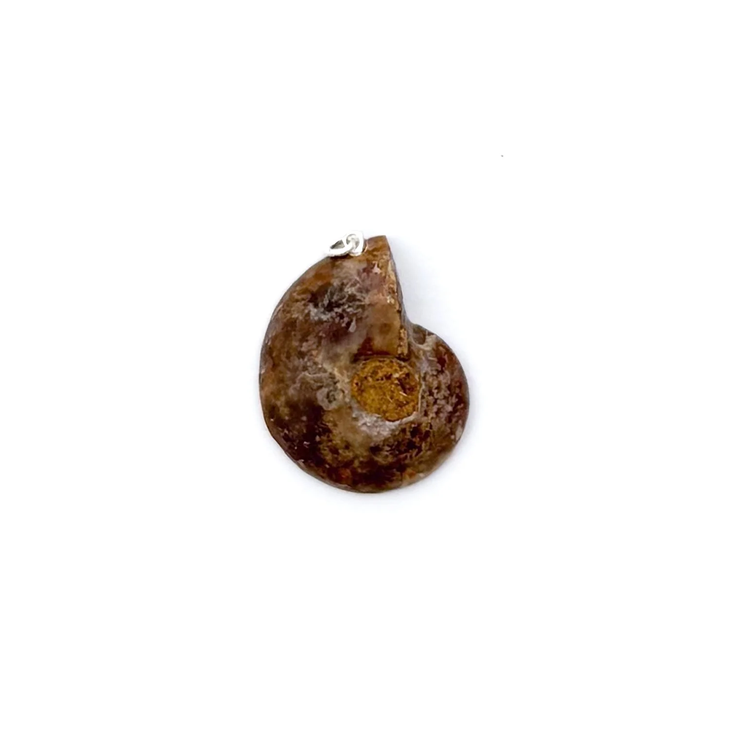 AmmoniteCharm6.2.jpg