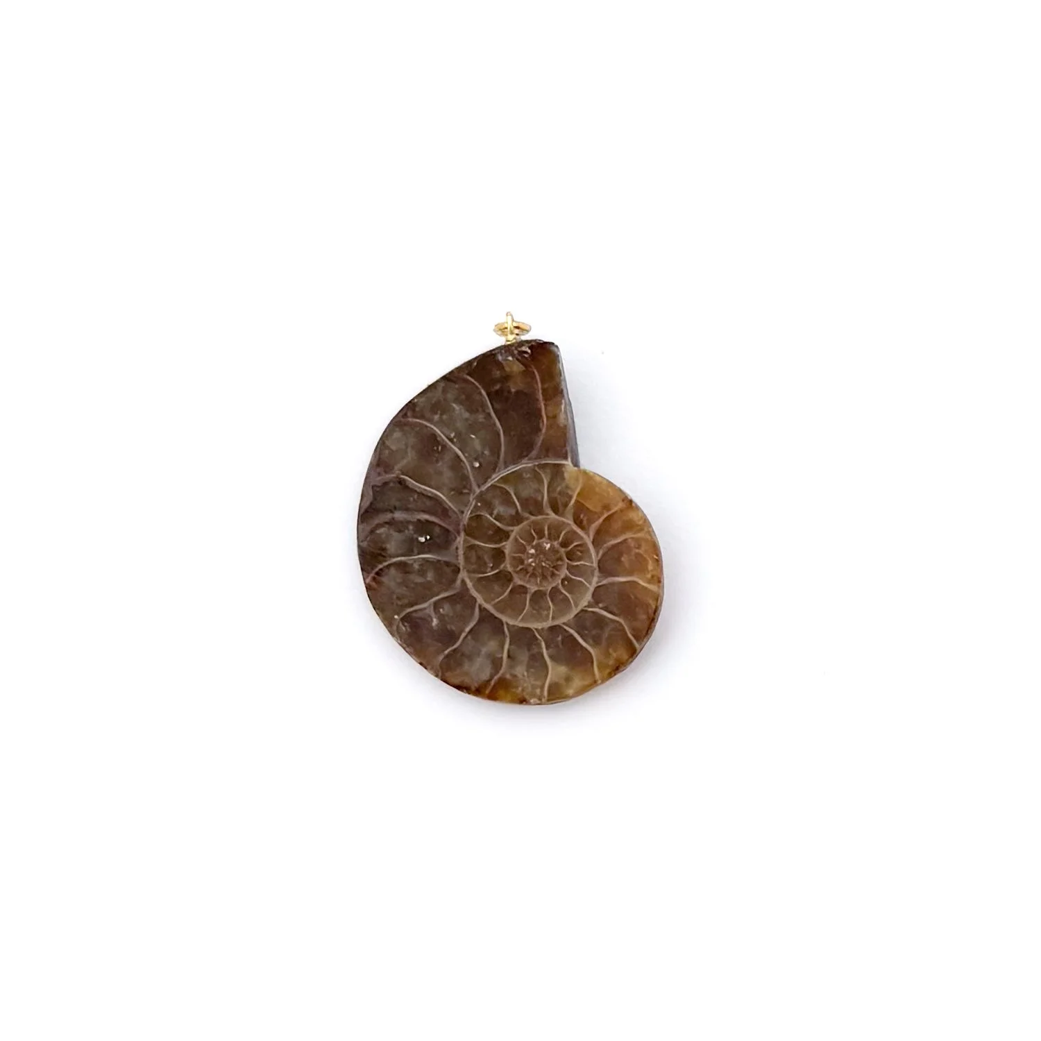 AmmoniteCharm2.1.jpg