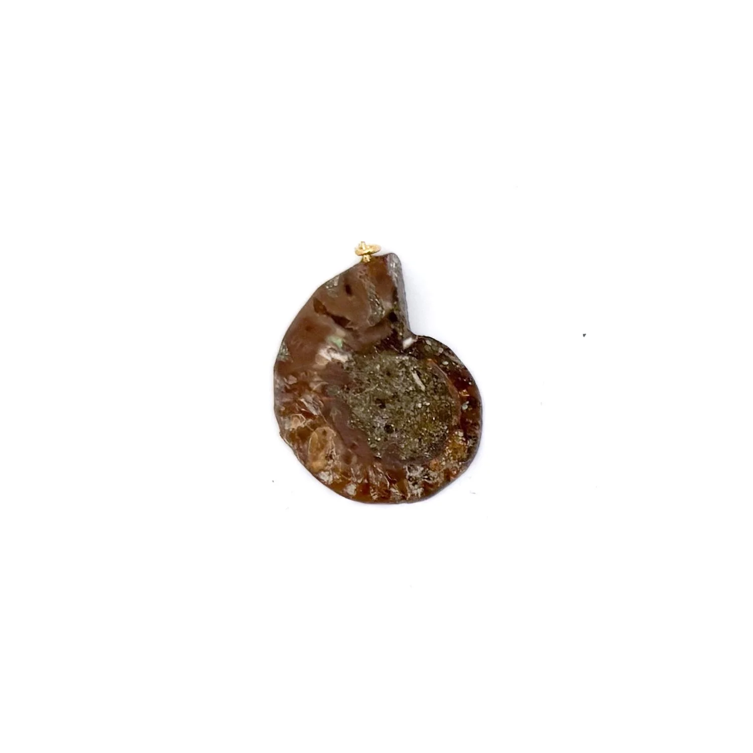 AmmoniteCharm3.2.jpg