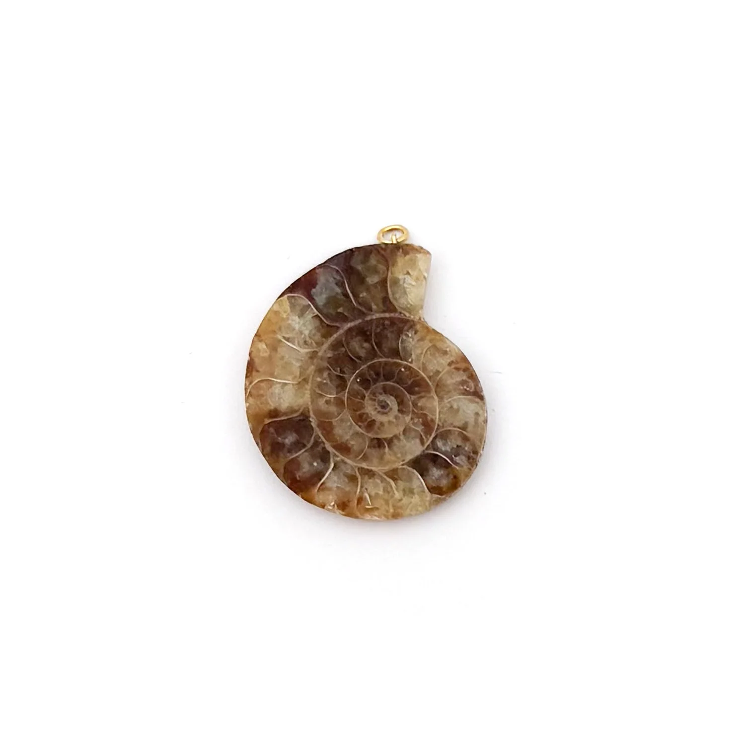 AmmoniteCharm1.1.jpg