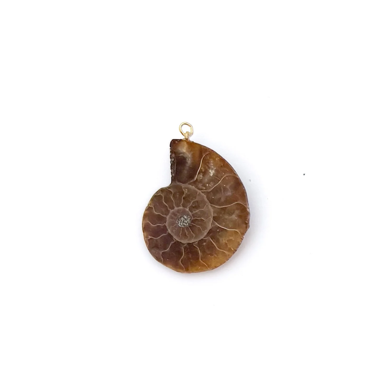 AmmoniteCharm3.1.jpg