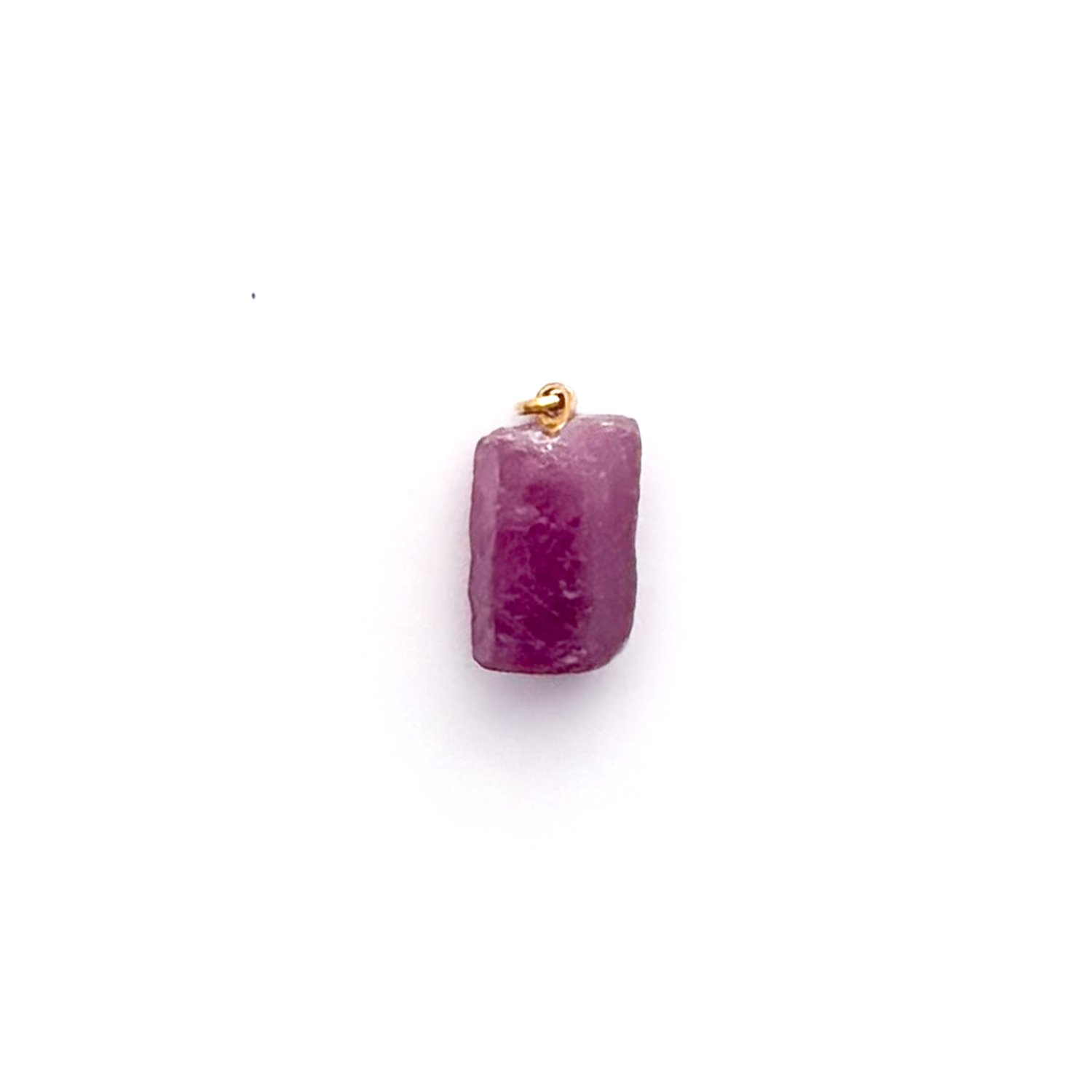 RubyCharm2.2.jpg
