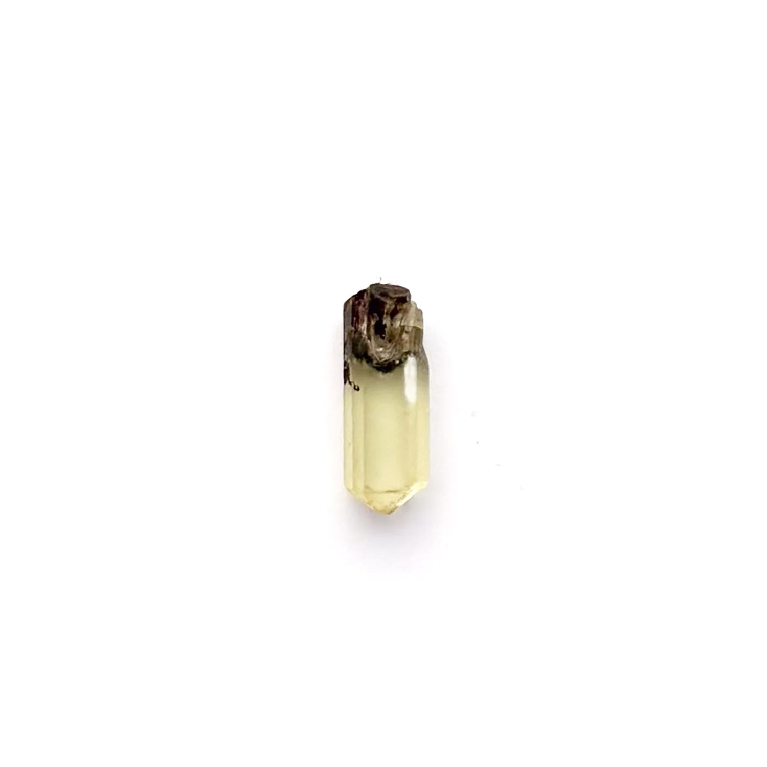 ApitateCharm1.2.jpg