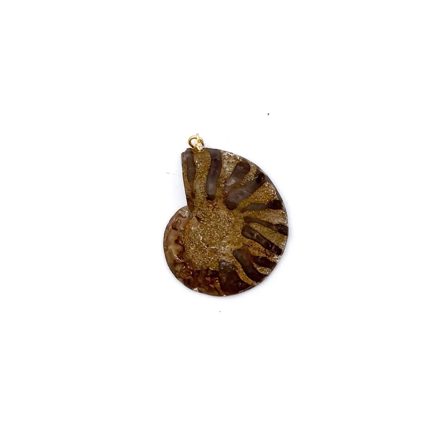 AmmoniteCharm2.2.jpg