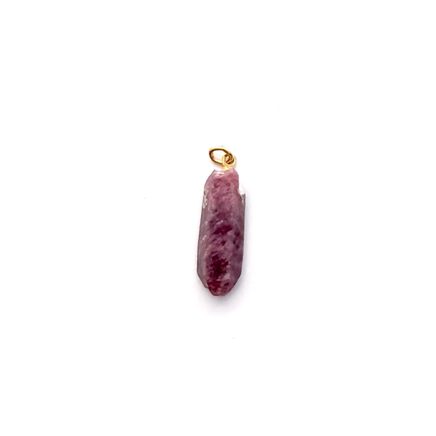 RubyCharm1.1.jpg