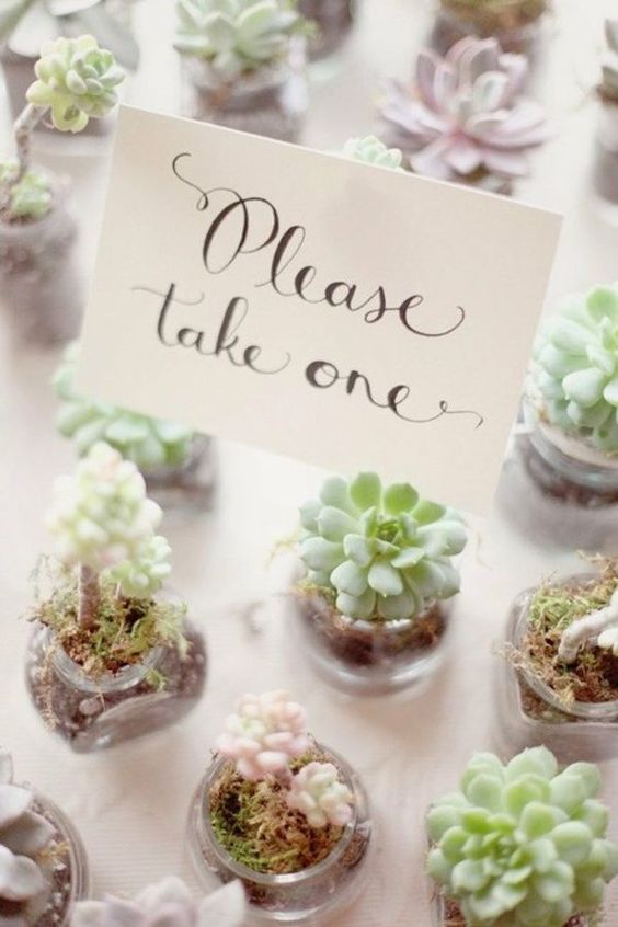 (Source: www.deerpearlflowers.com)