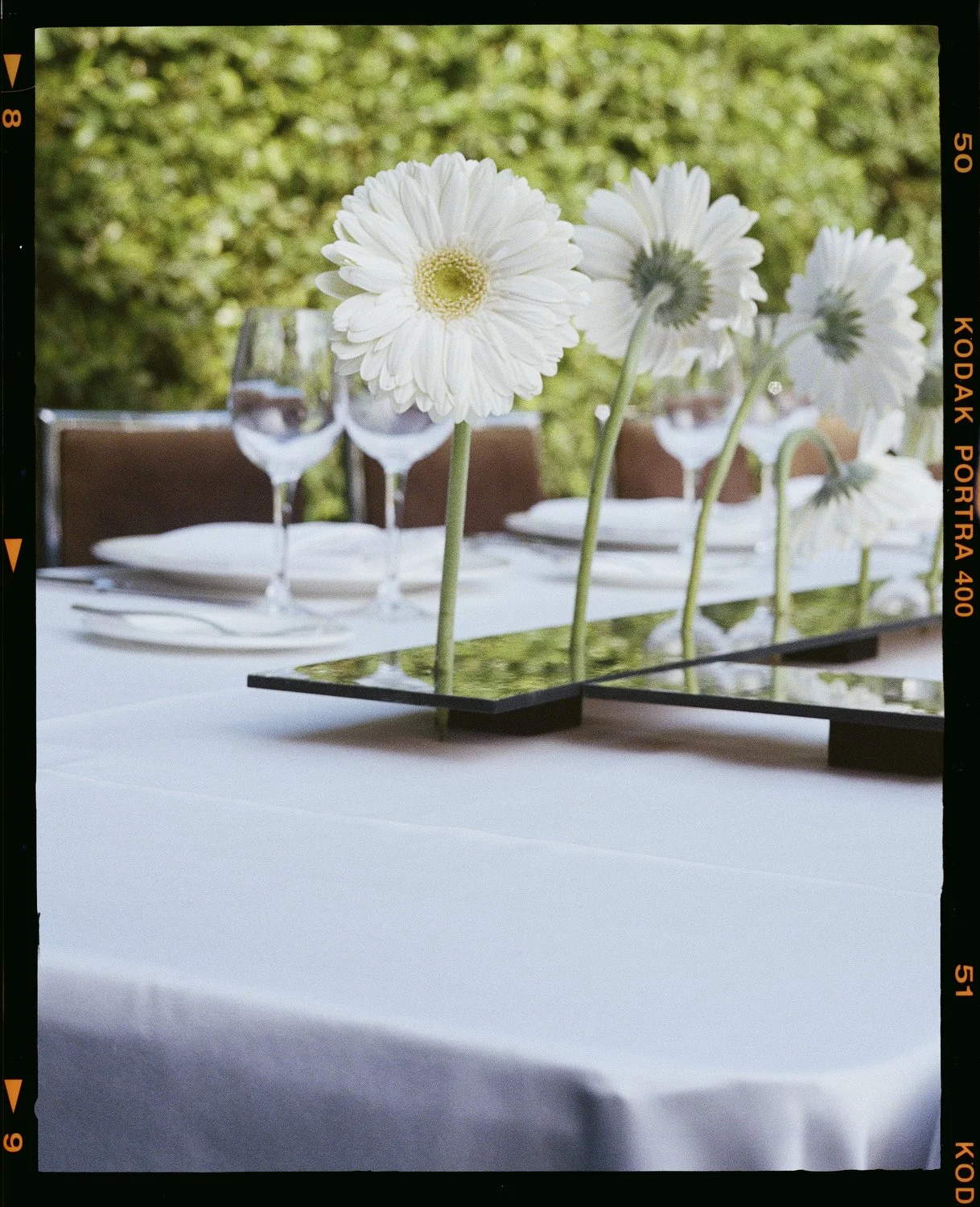 Elegant table setting with white gerbera daisies in a reflective black tray and wine glasses, arranged outdoors with a lush green background.