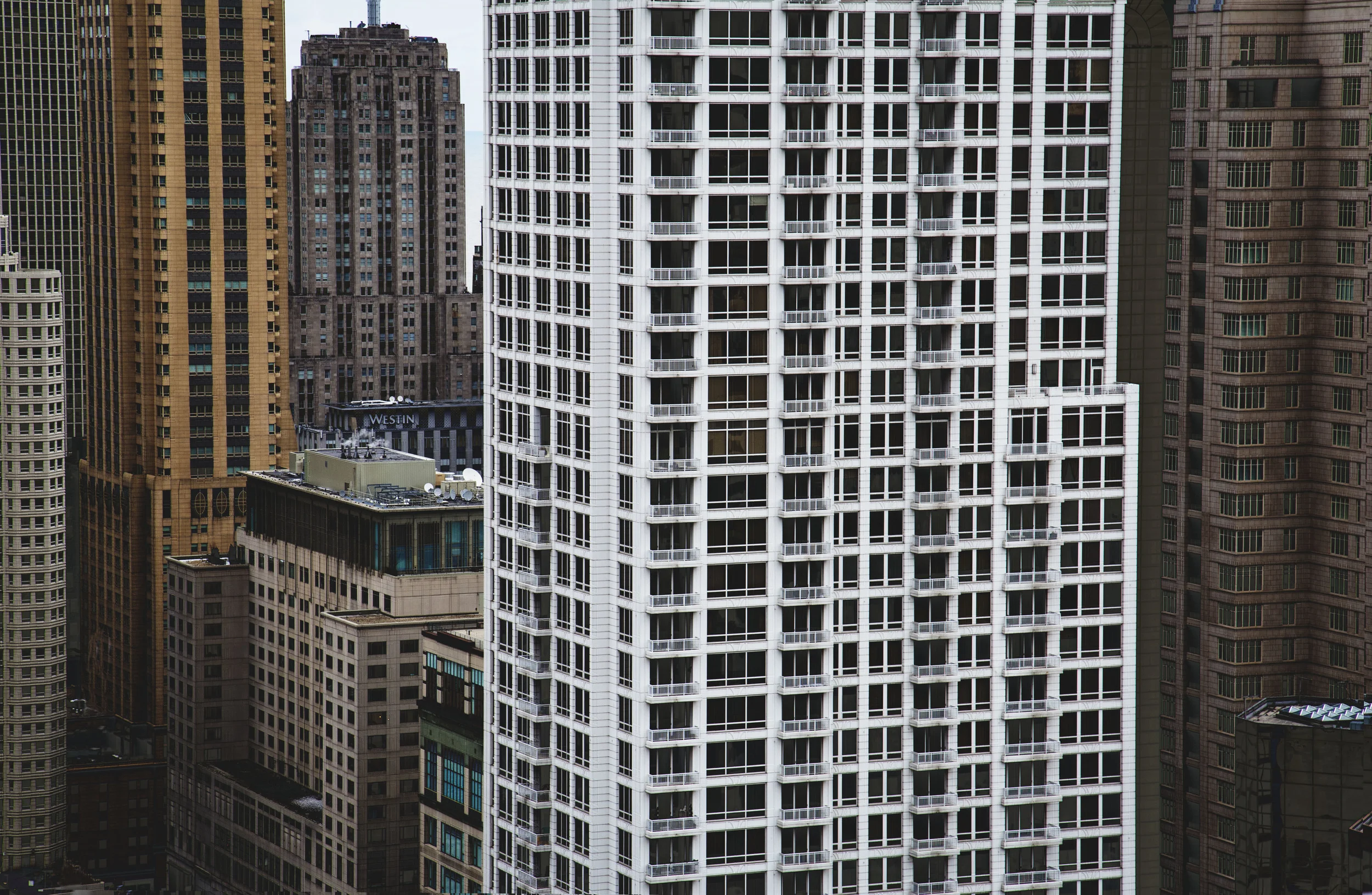 IMG_3629.jpg