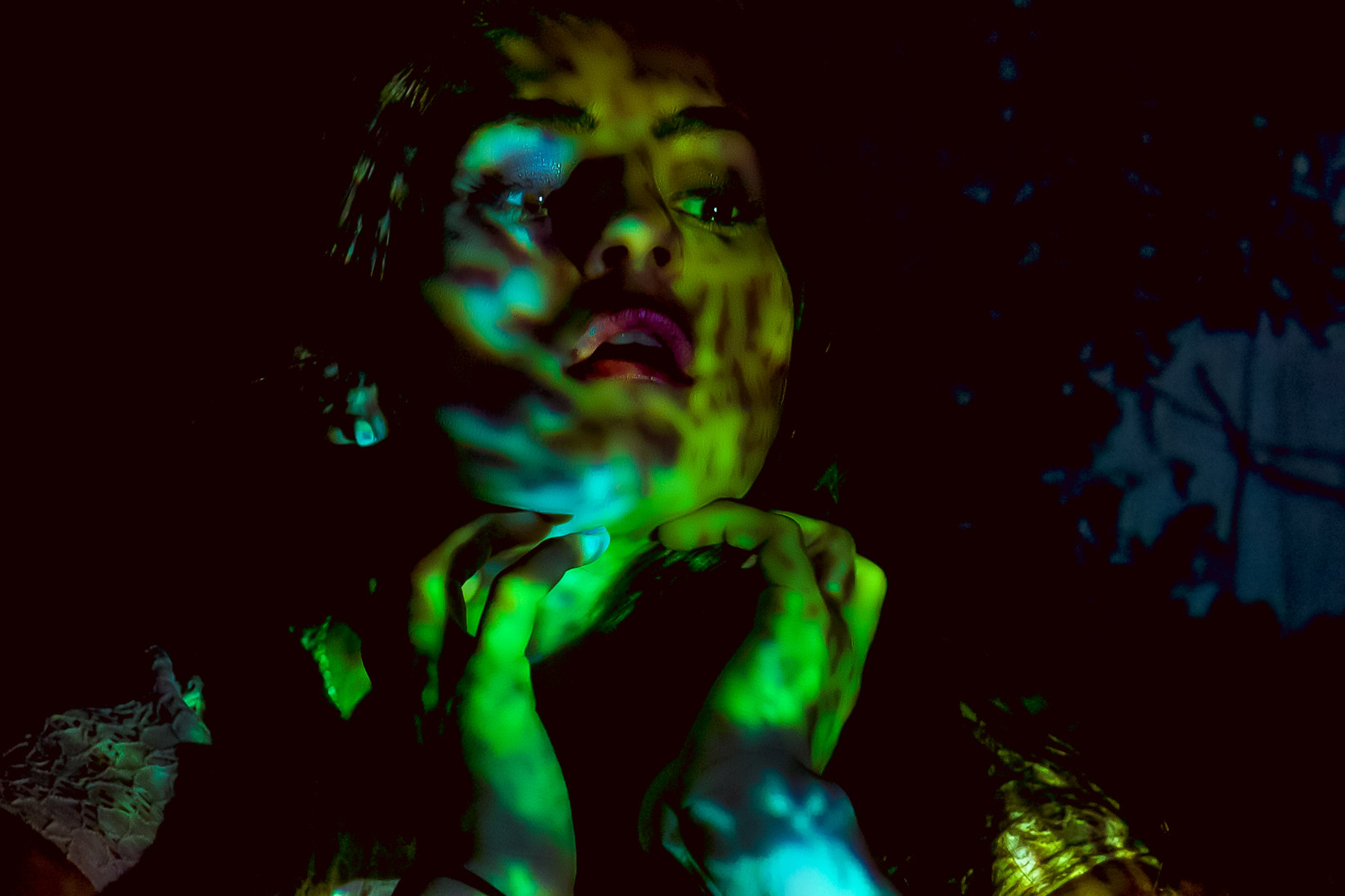 BonnieProjection2_Chameleon_bal_crop.JPG