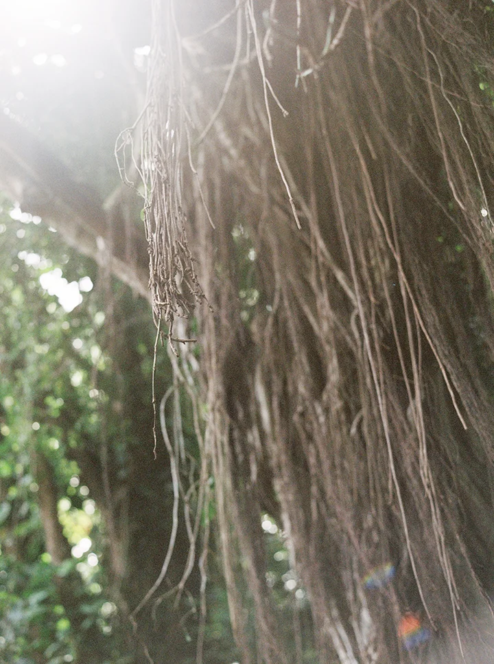 Outlive+Creative+San+Francisco+Portland+Fine+Art+Film+Wedding+Photographer+Videographer.jpg
