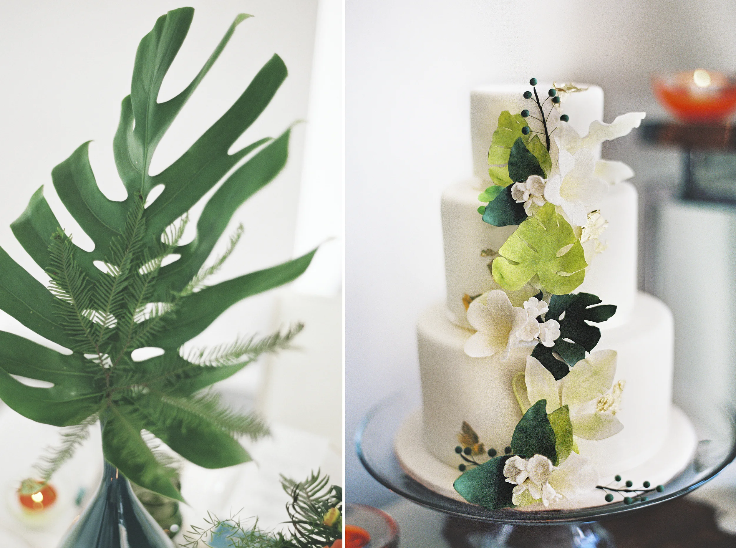 007Outlive+Creative+Tropical+Northwest+Columbia+Gorge+Elopement+Film+Photographer.jpg