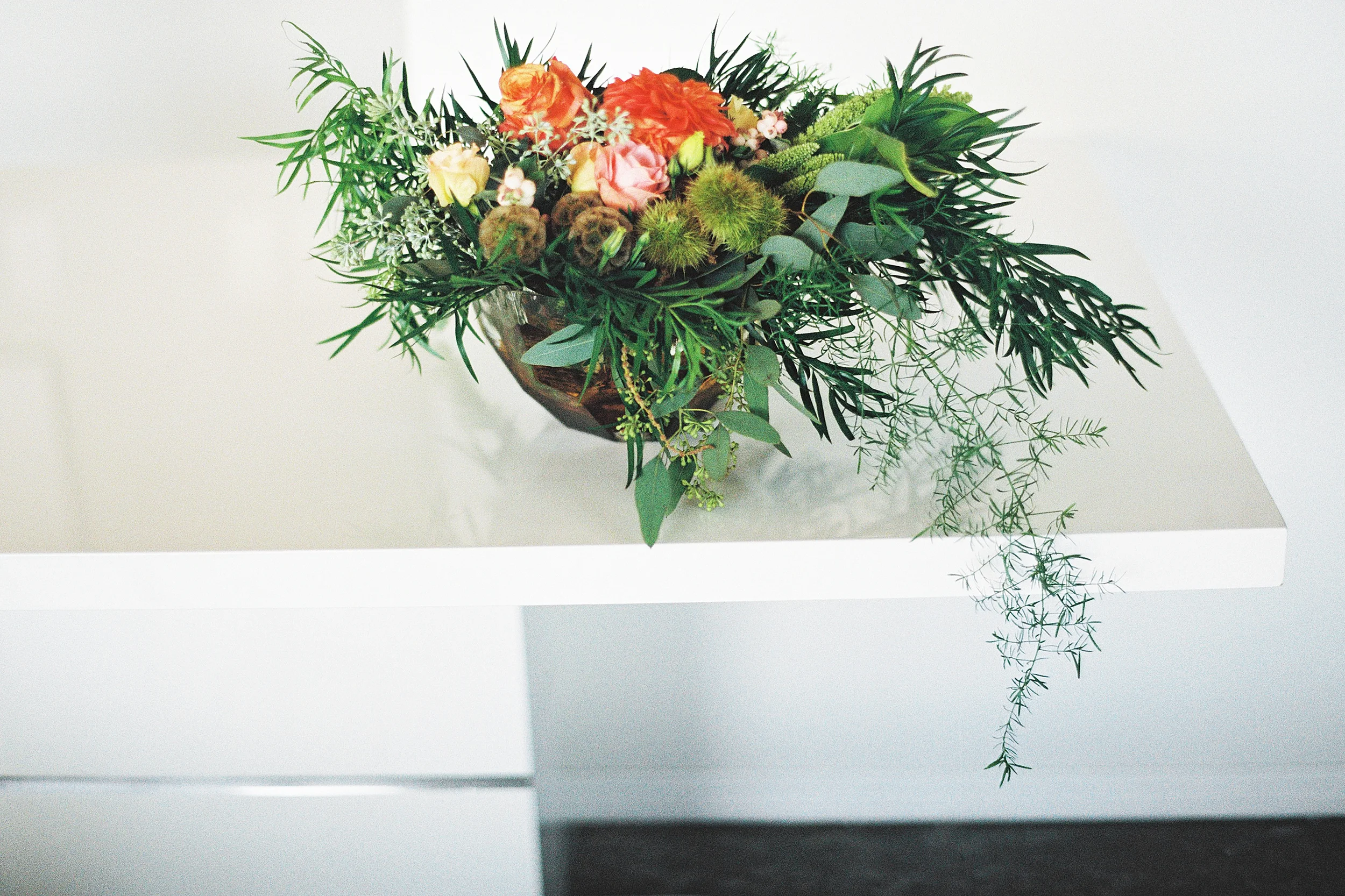 009Outlive+Creative+Tropical+Northwest+Columbia+Gorge+Elopement+Film+Photographer.jpg