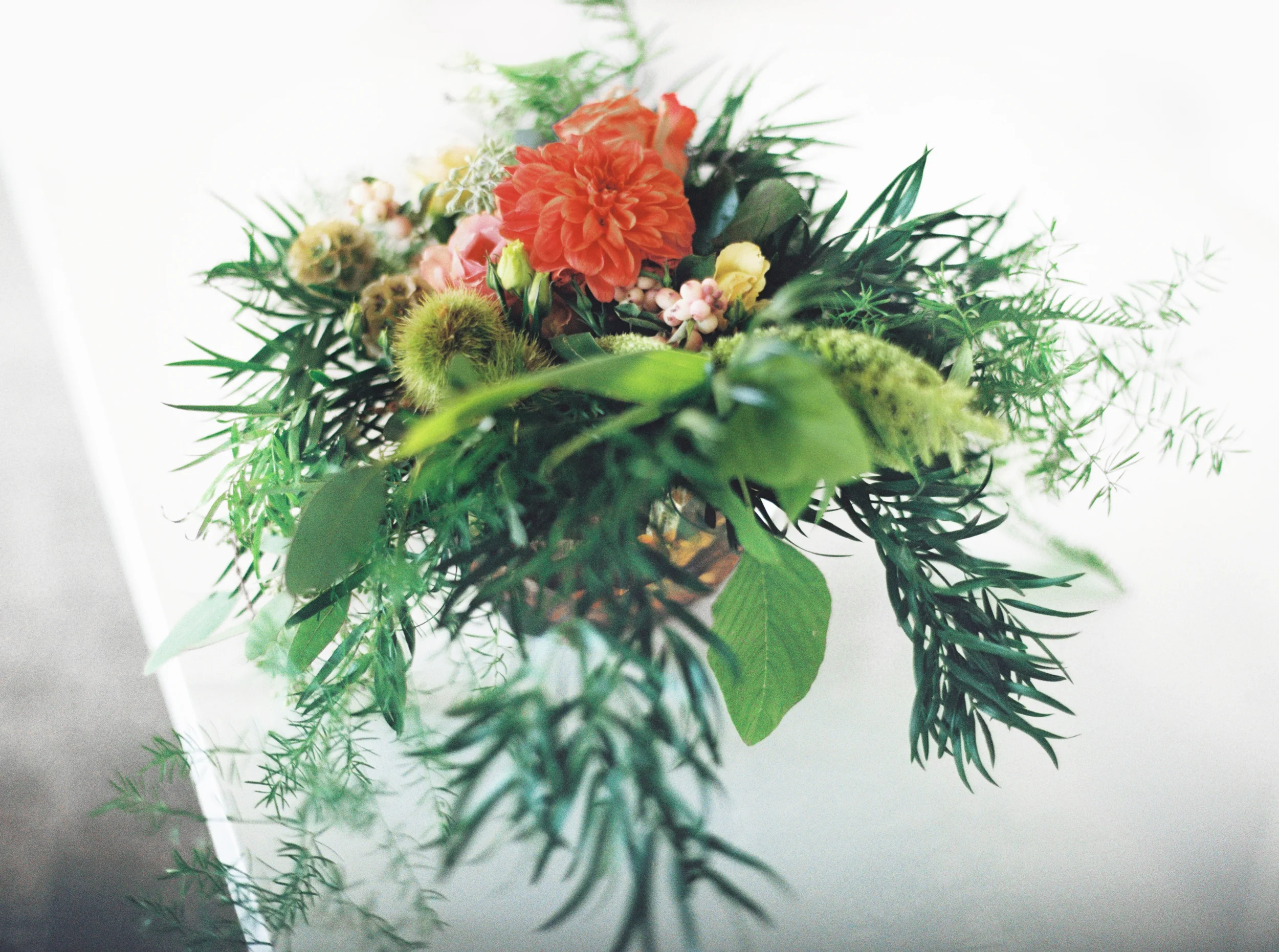 015Outlive+Creative+Tropical+Northwest+Columbia+Gorge+Elopement+Film+Photographer.jpg