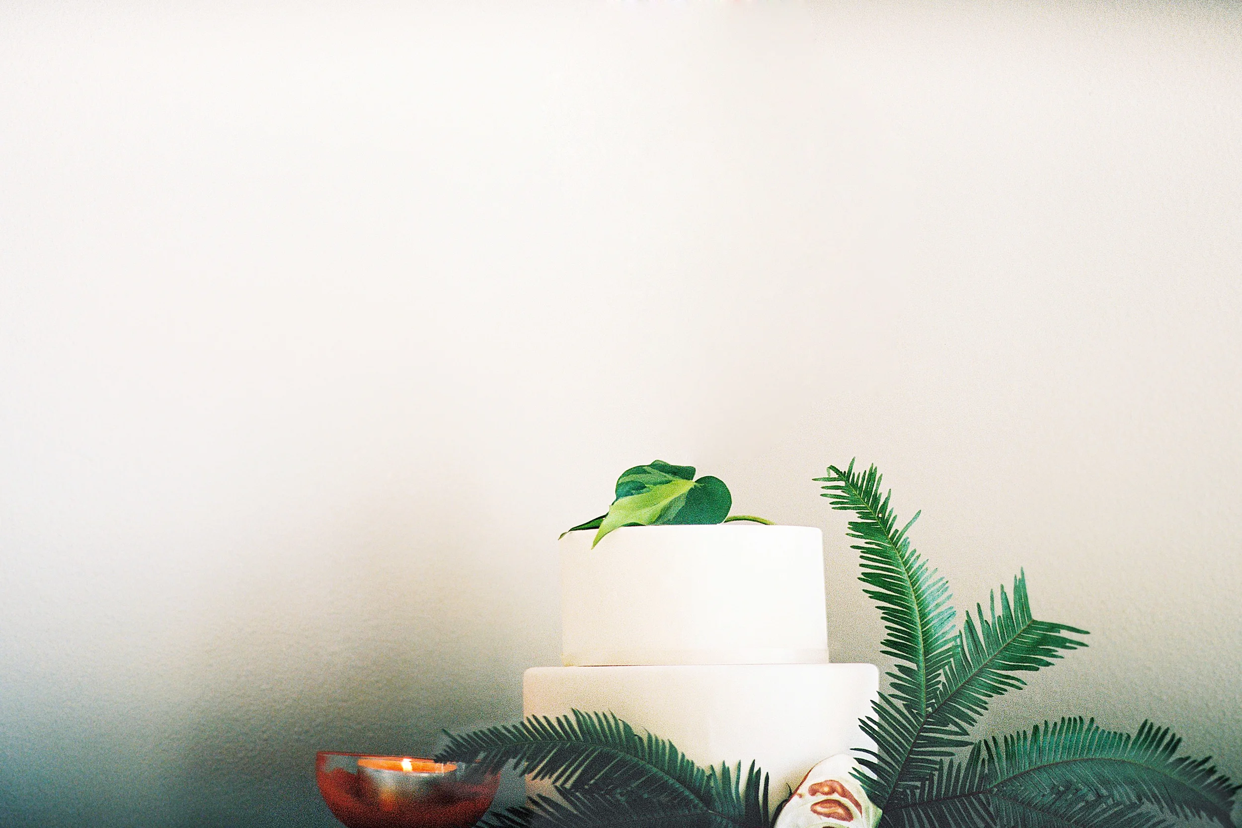 016Outlive+Creative+Tropical+Northwest+Columbia+Gorge+Elopement+Film+Photographer.jpg