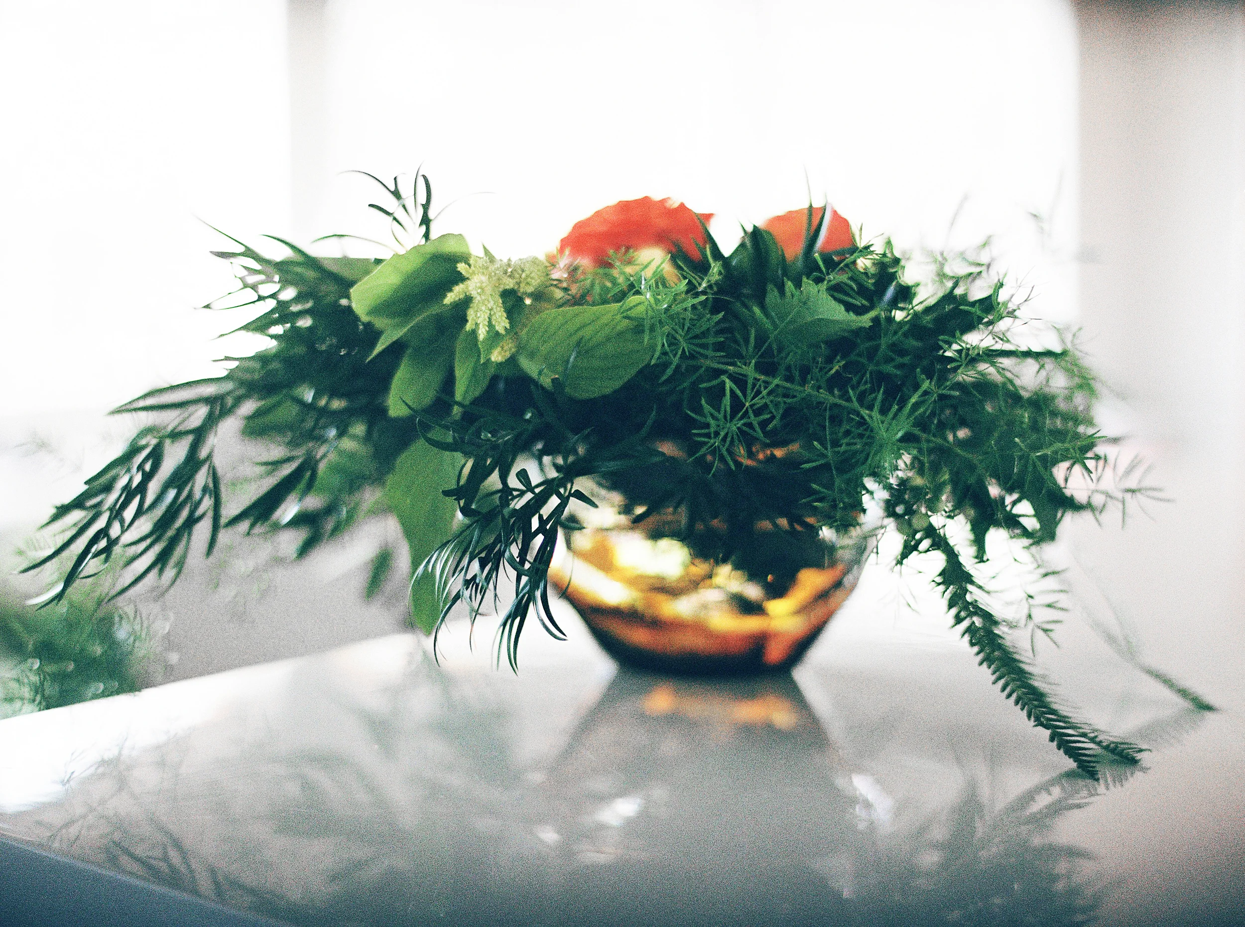 019Outlive+Creative+Tropical+Northwest+Columbia+Gorge+Elopement+Film+Photographer.jpg