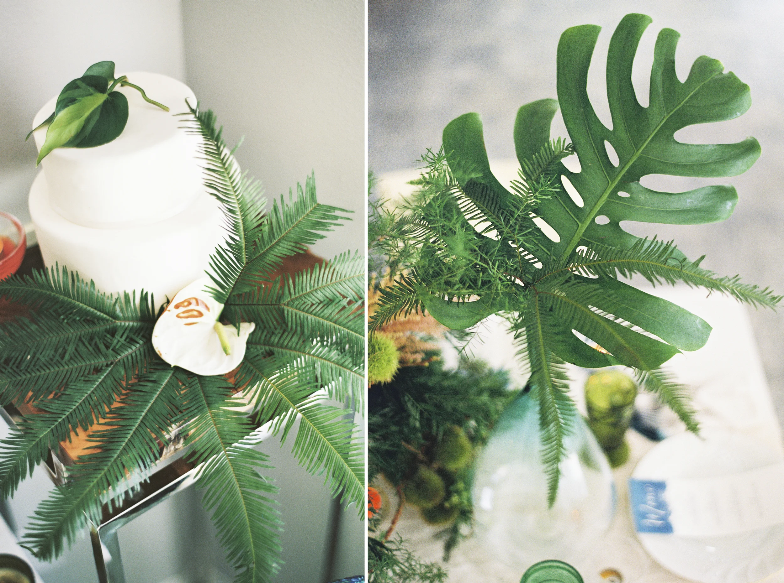 021Outlive+Creative+Tropical+Northwest+Columbia+Gorge+Elopement+Film+Photographer.jpg
