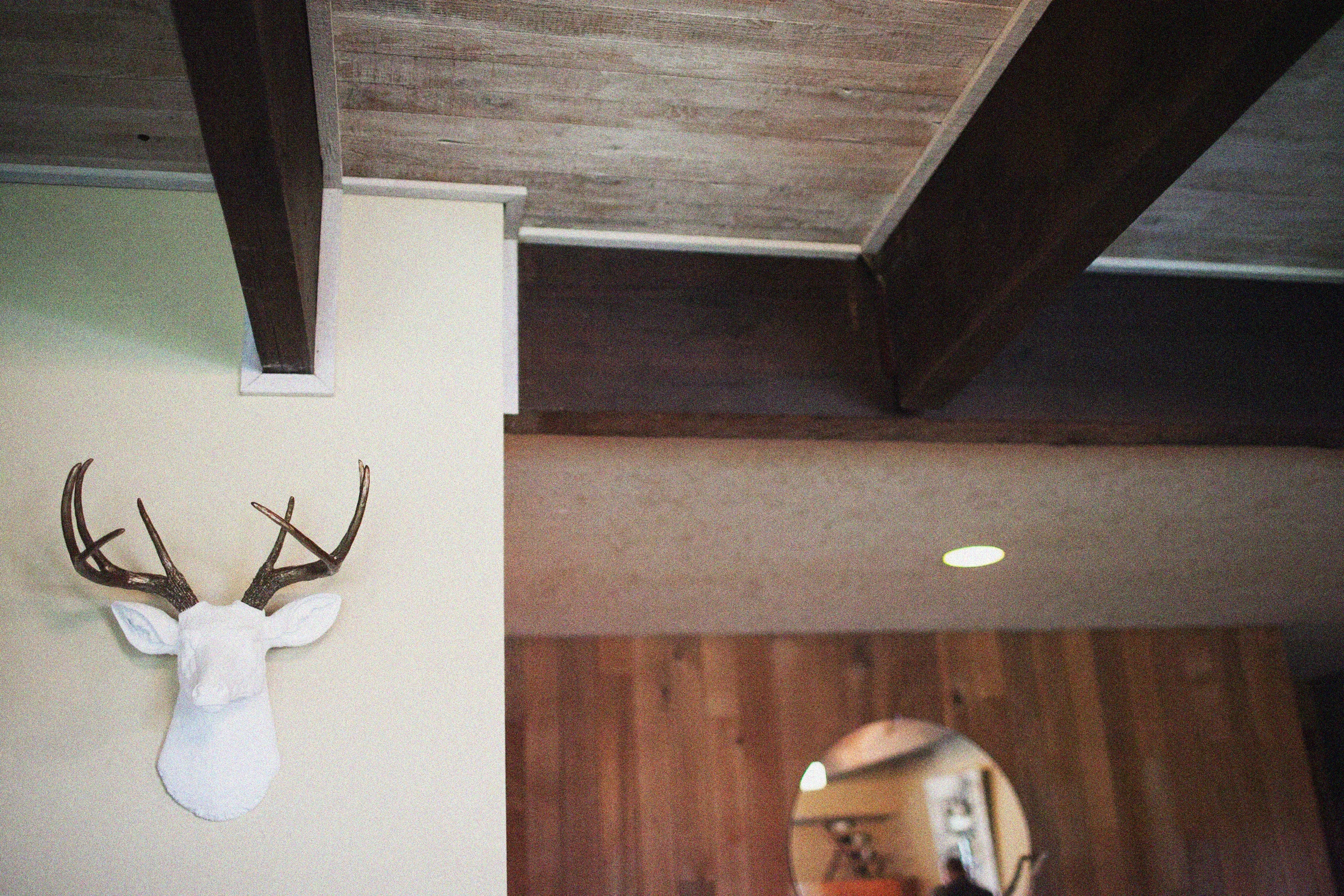 002+rROHLIK+SCHMIDT+outlive+creative+contax645+film+styled+wedding+sutro+baths+san+francisco.jpg